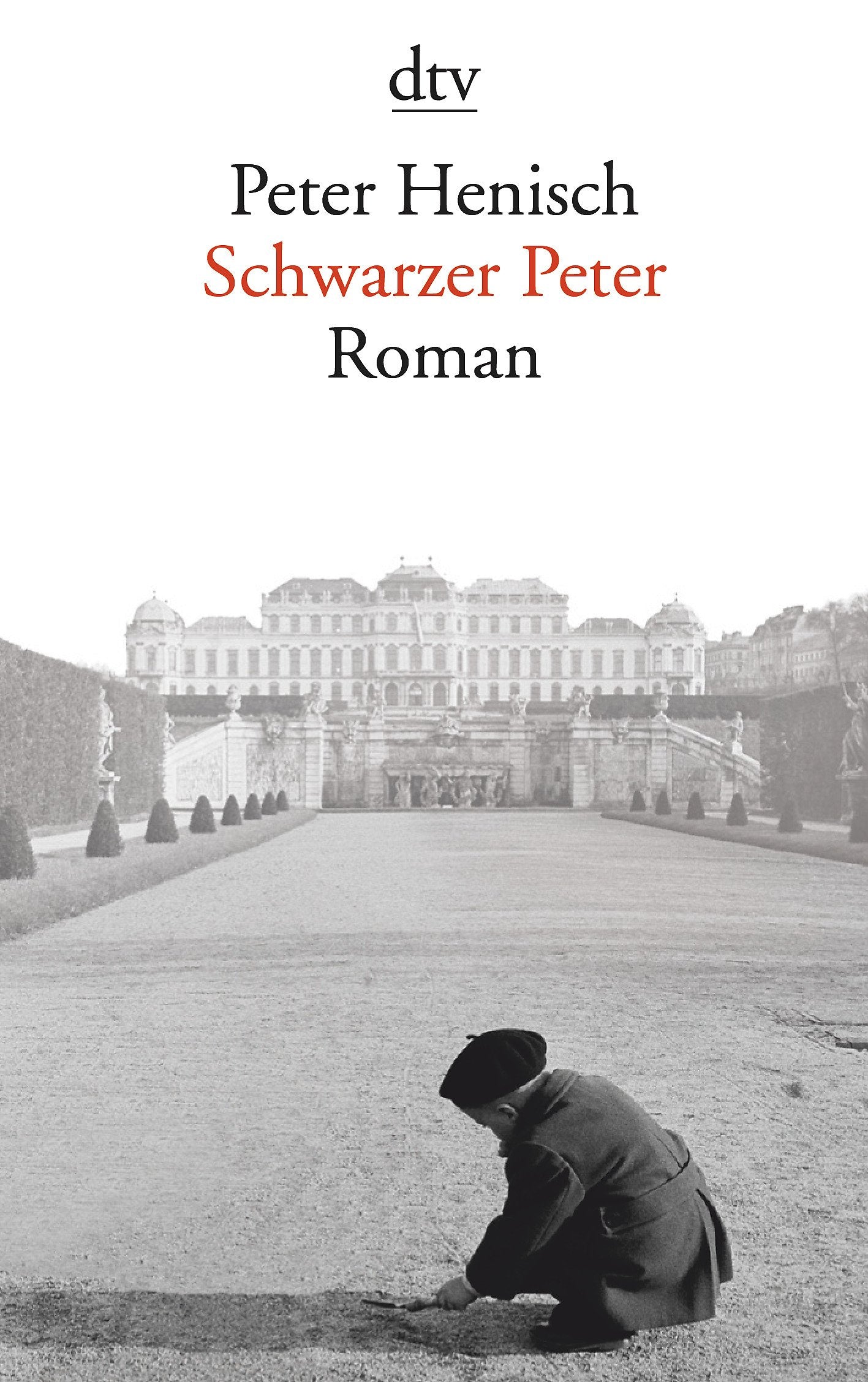 Schwarzer Peter: Roman Contemporary literature