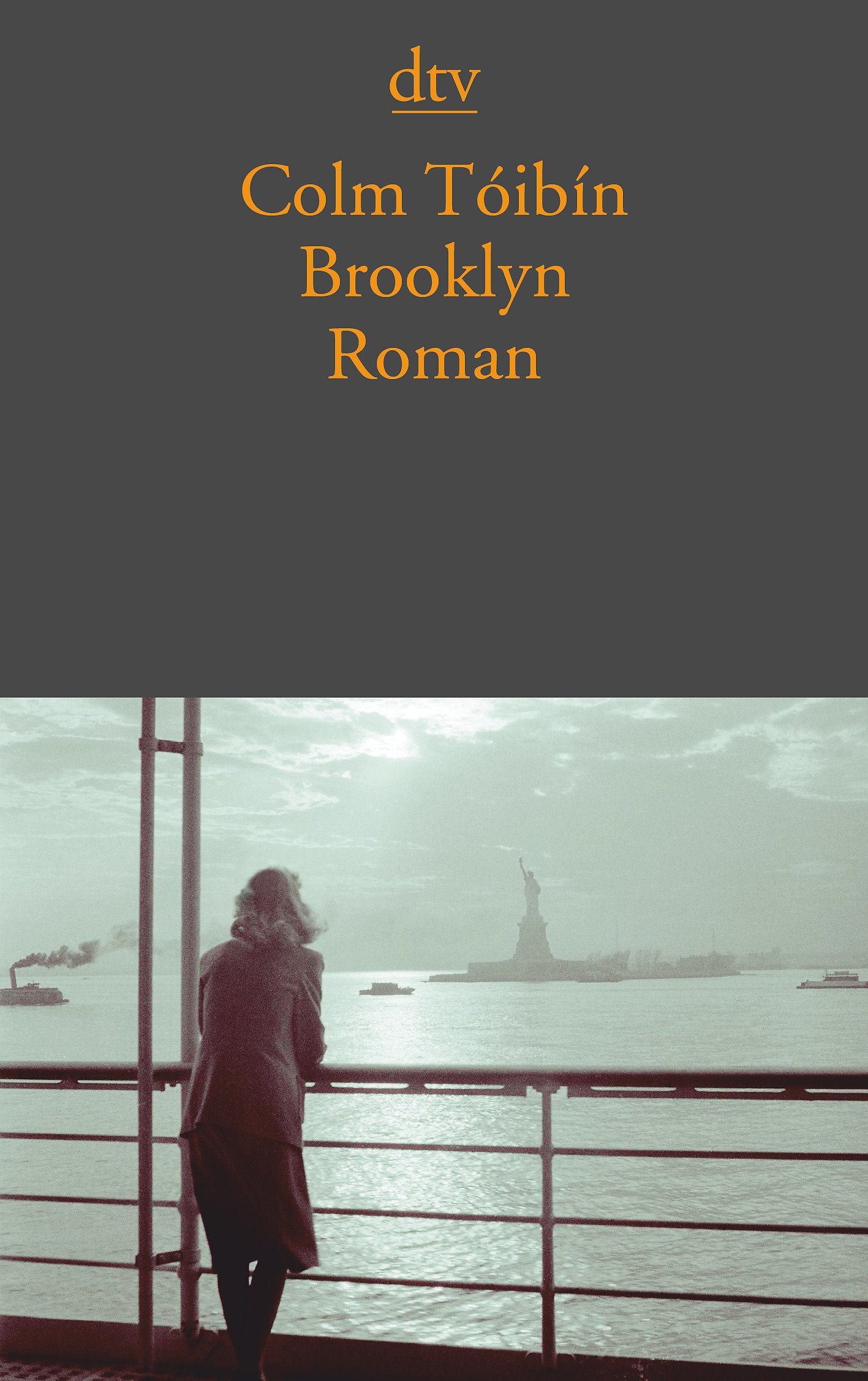 Brooklyn: Roman (dtv Literatur) Contemporary literature
