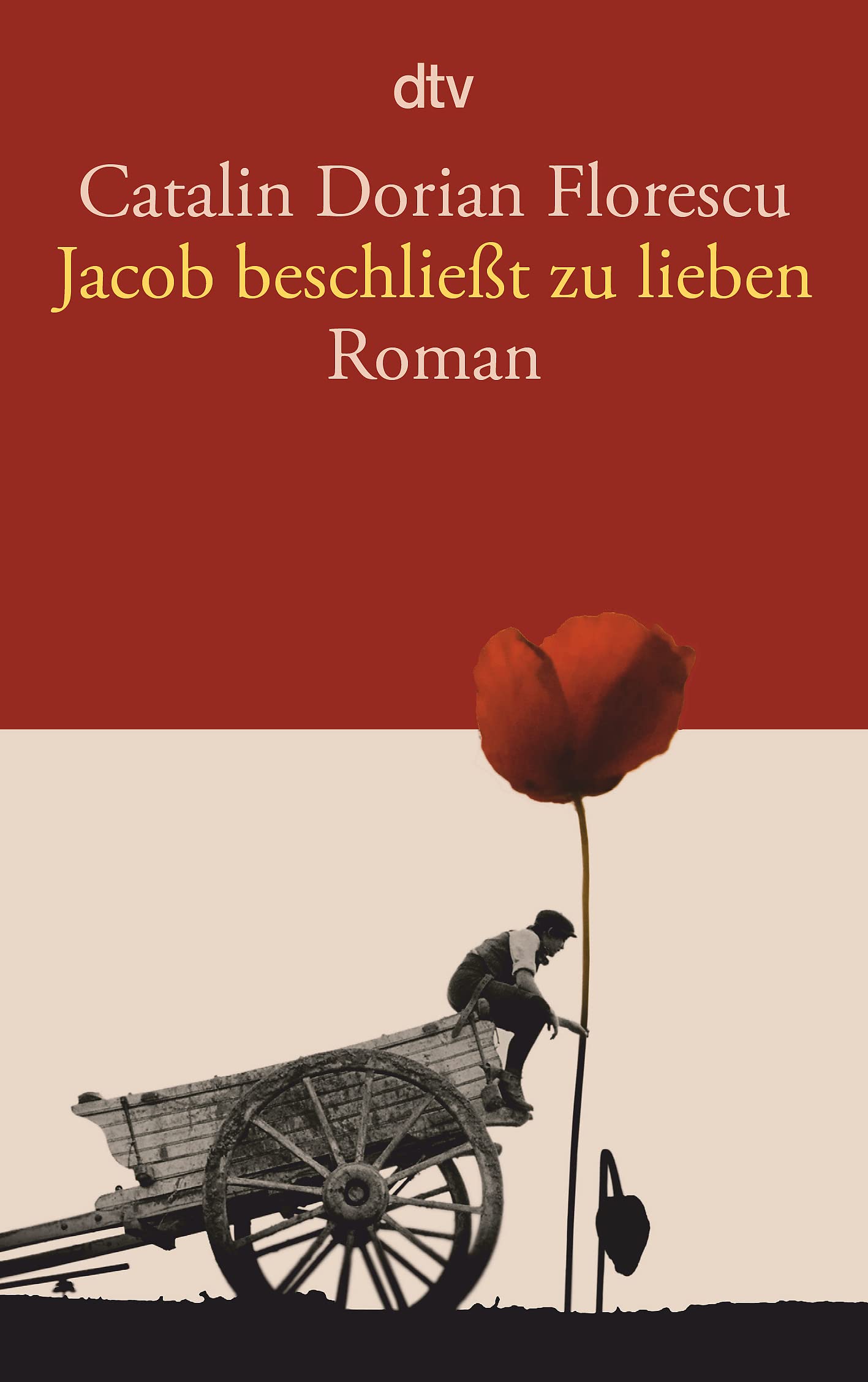 Jacob beschließt zu lieben Contemporary literature