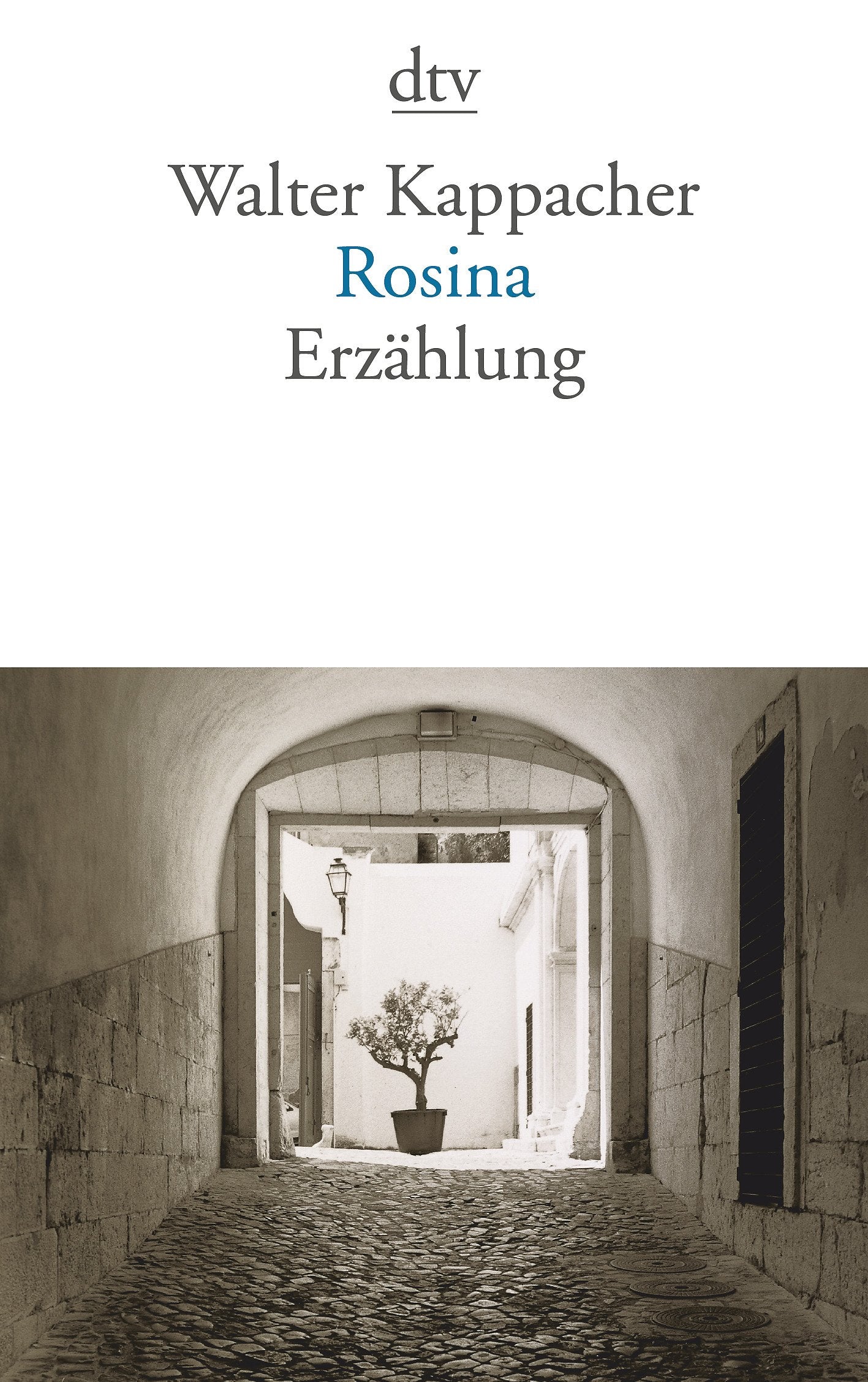Rosina: Erzählung Contemporary literature