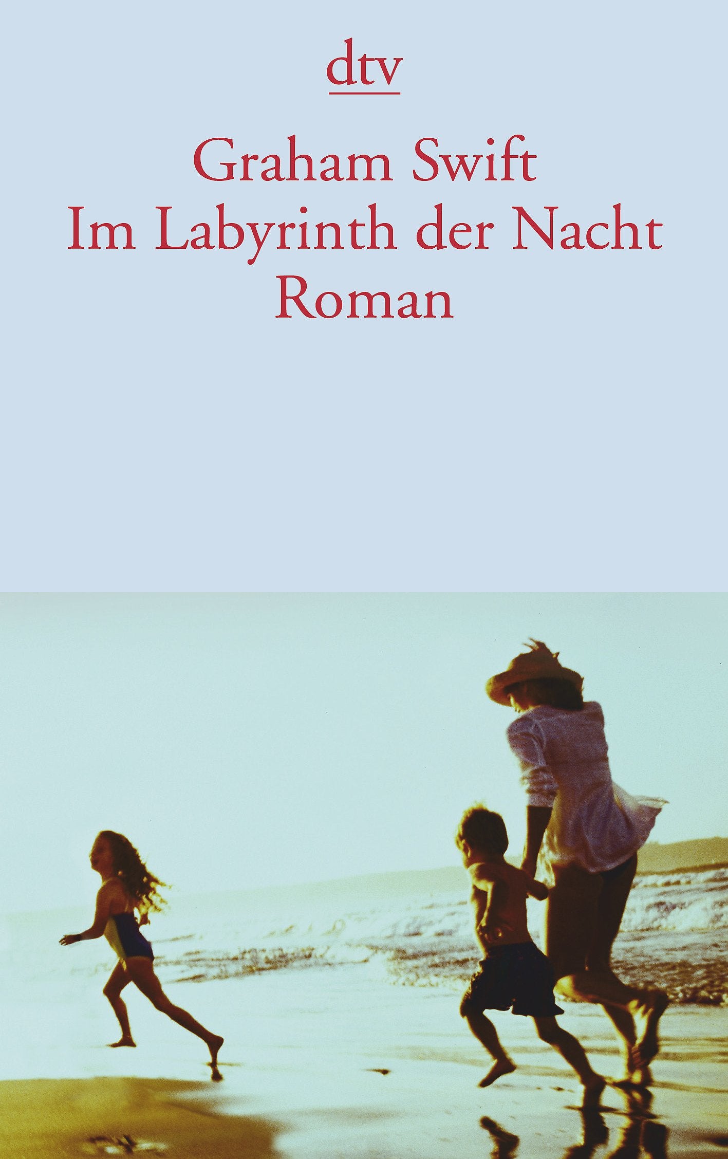 Product Image: Im Labyrinth der Nacht