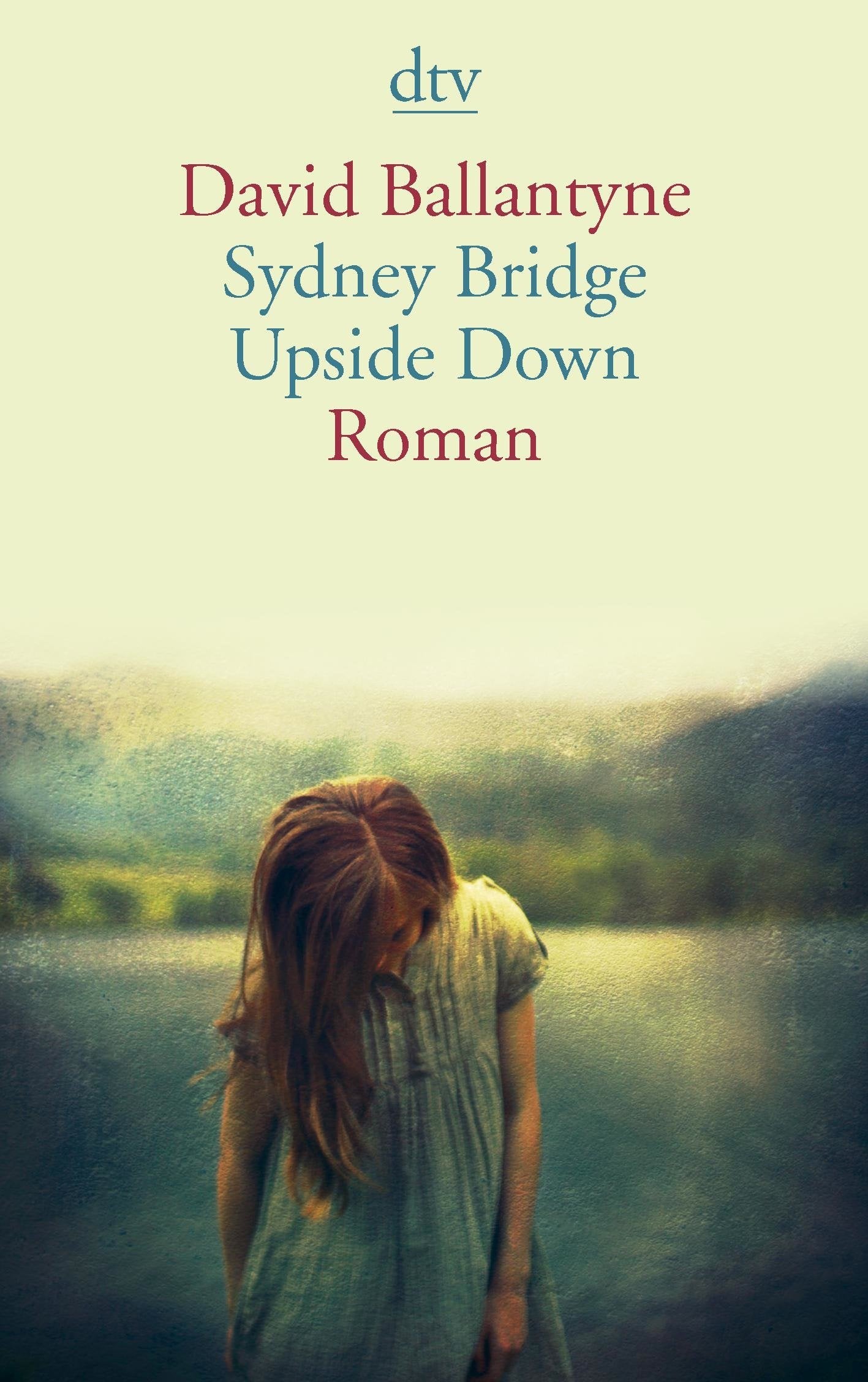 Product Image: Sydney Bridge Upside Down
