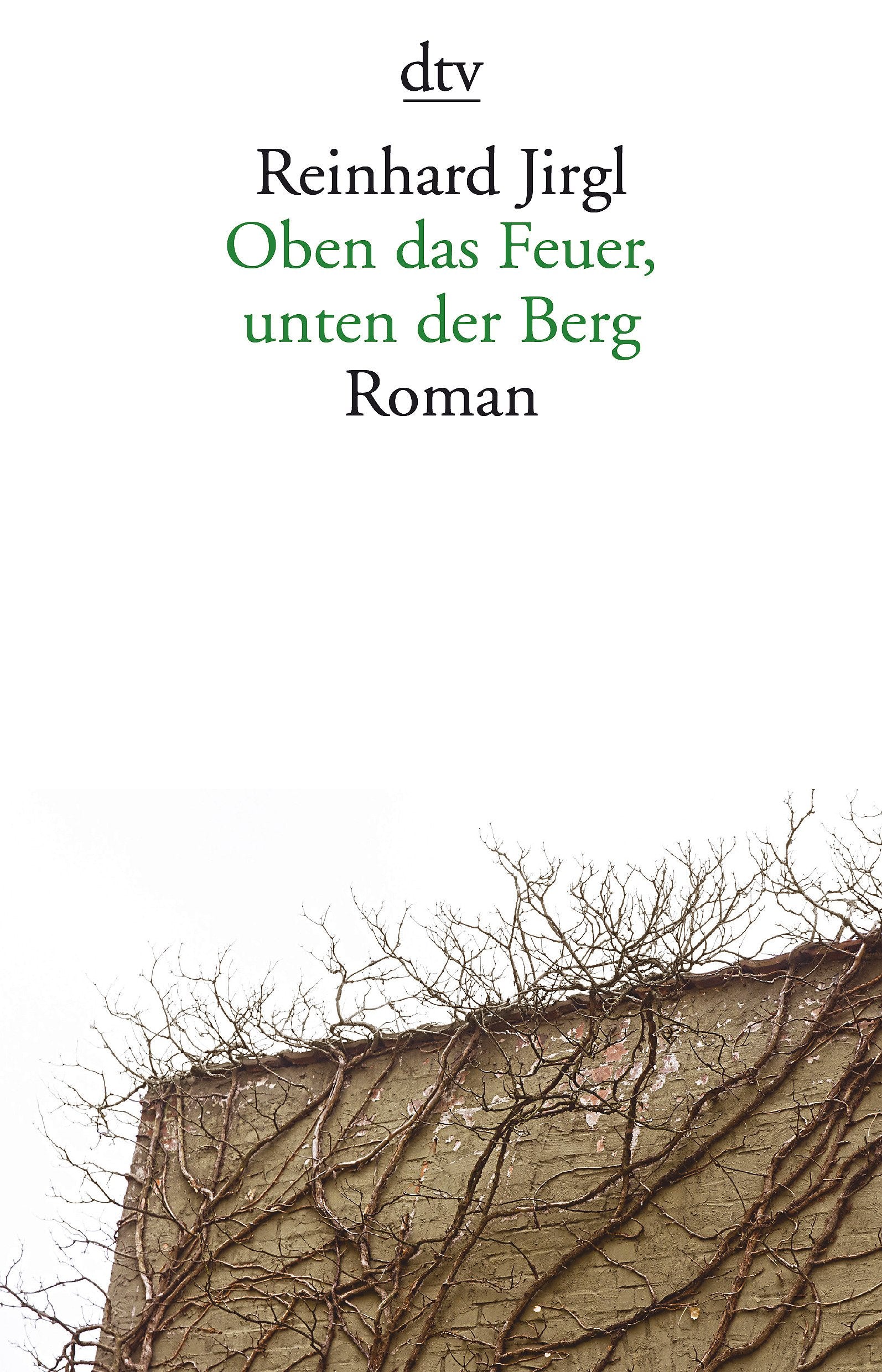Oben das Feuer, unten der Berg Contemporary literature