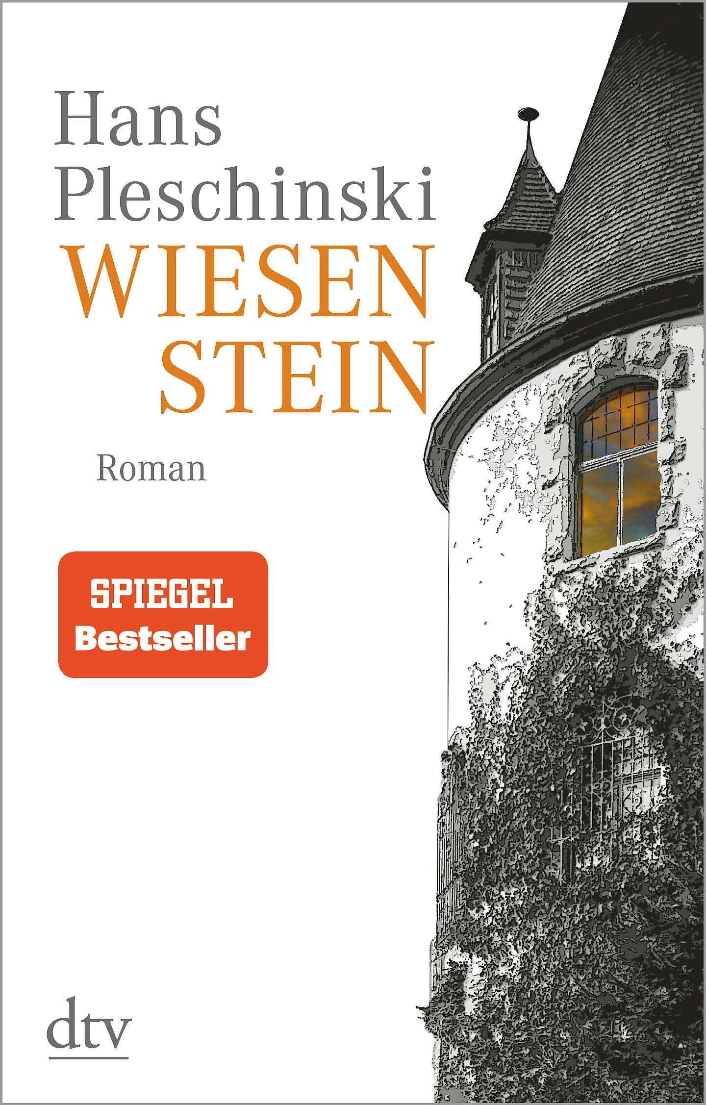 Wiesenstein Contemporary literature