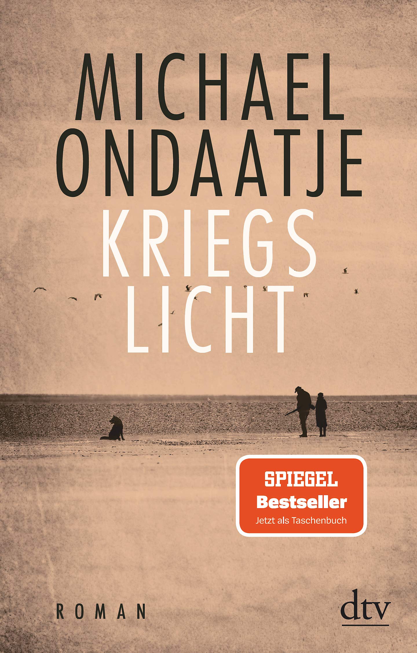Kriegslicht Contemporary literature Books