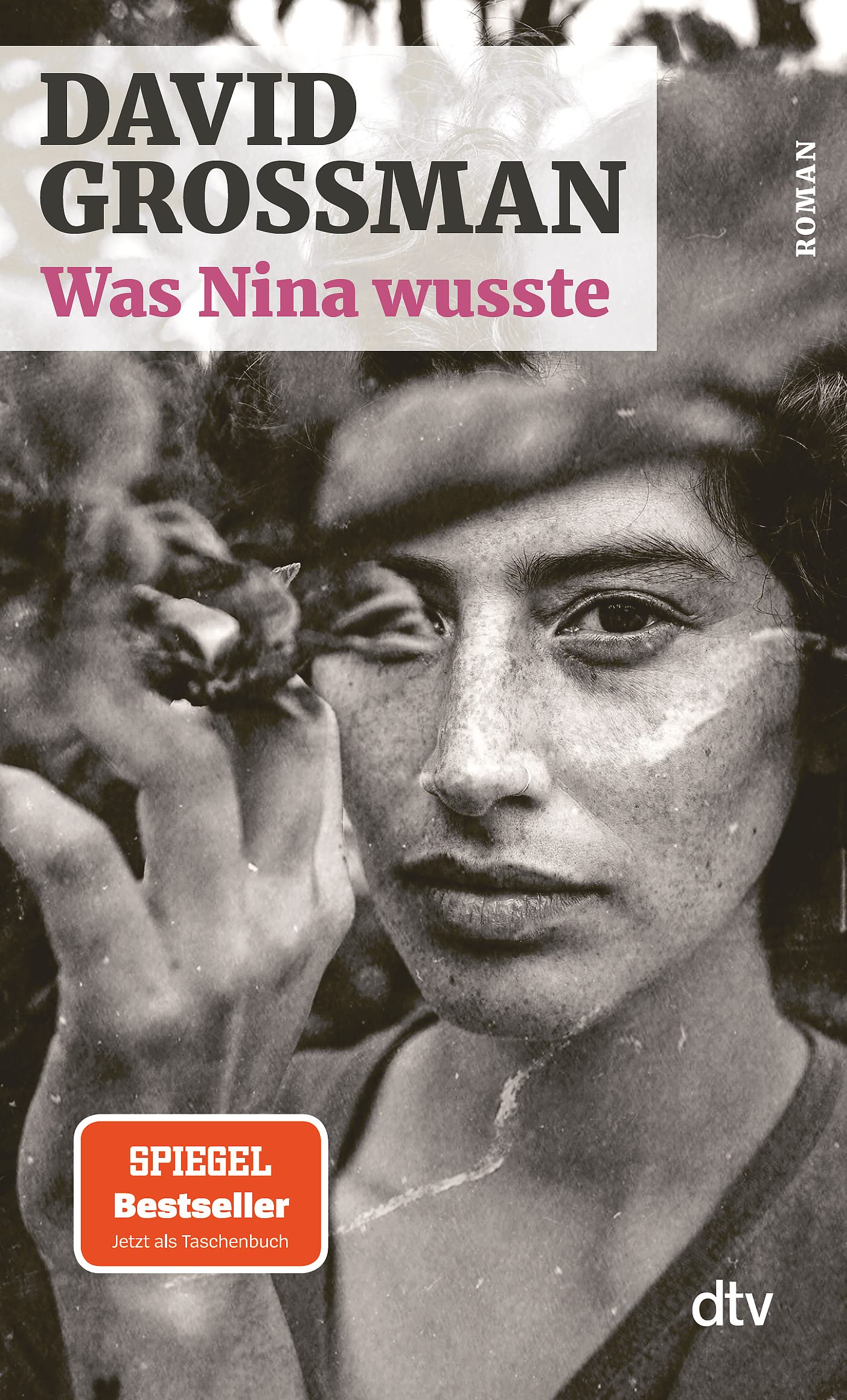 Was Nina wusste Contemporary literature Books