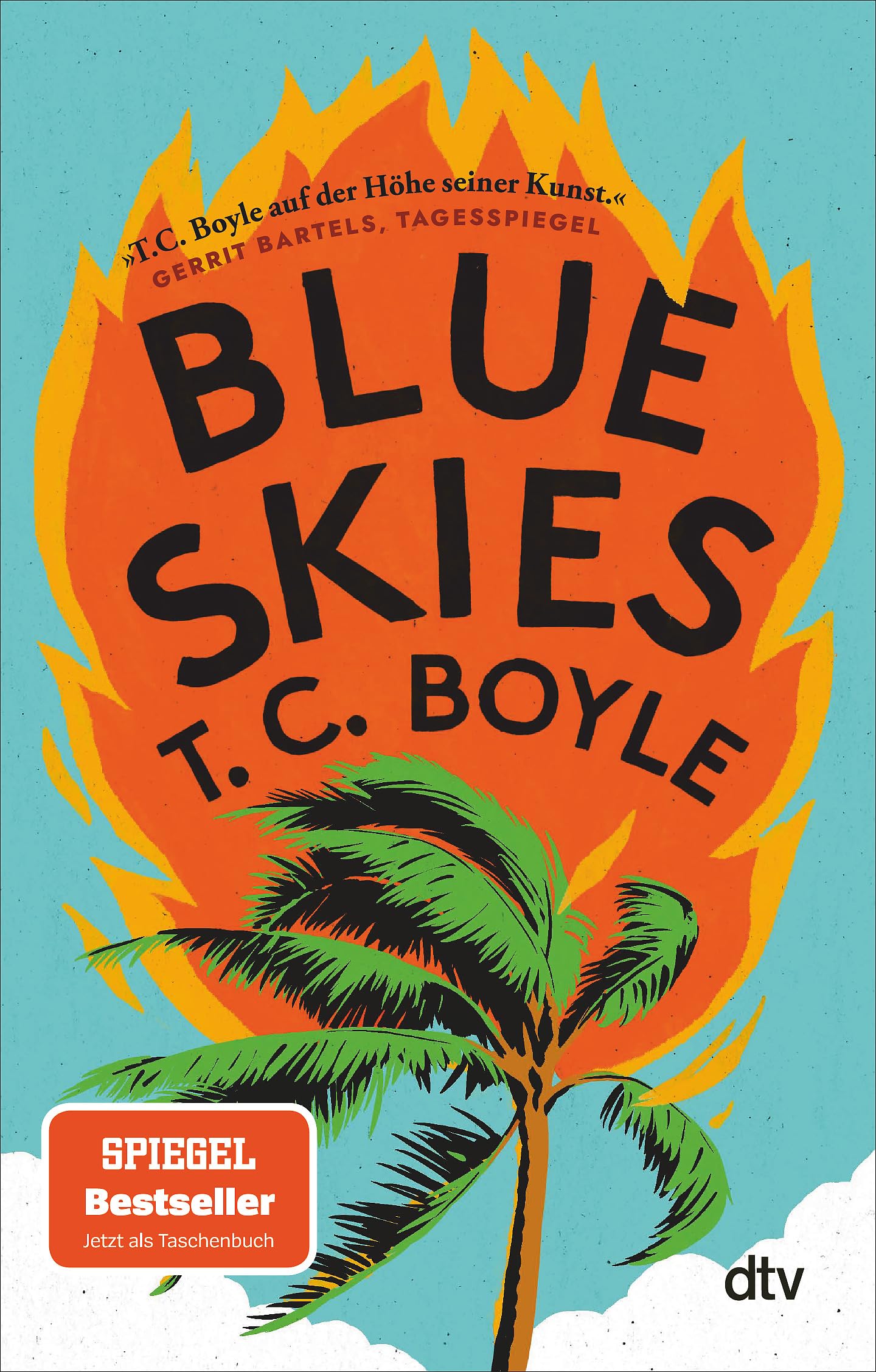 Blue Skies Contemporary literature Books