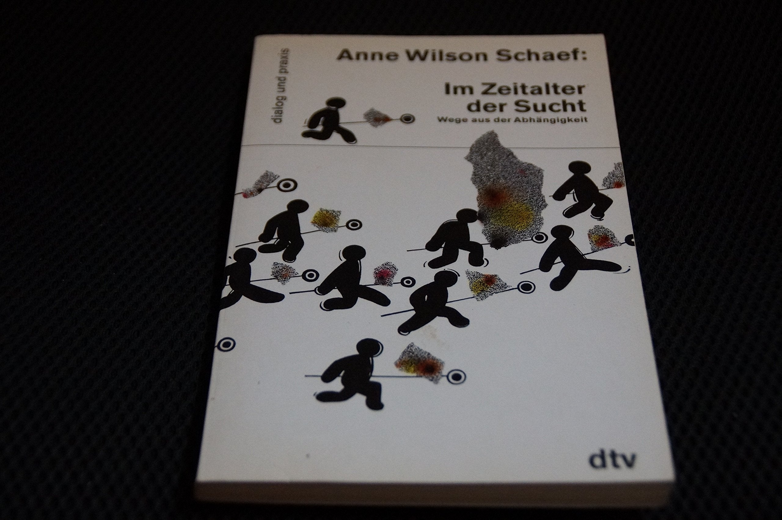 Im Zeitalter der Sucht: Wege aus der Abhängigkeit (dtv dialog und praxis) Medicine