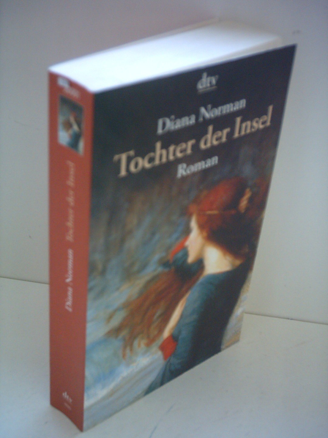 Tochter der Insel: Roman (dtv Unterhaltung) Historical Fiction