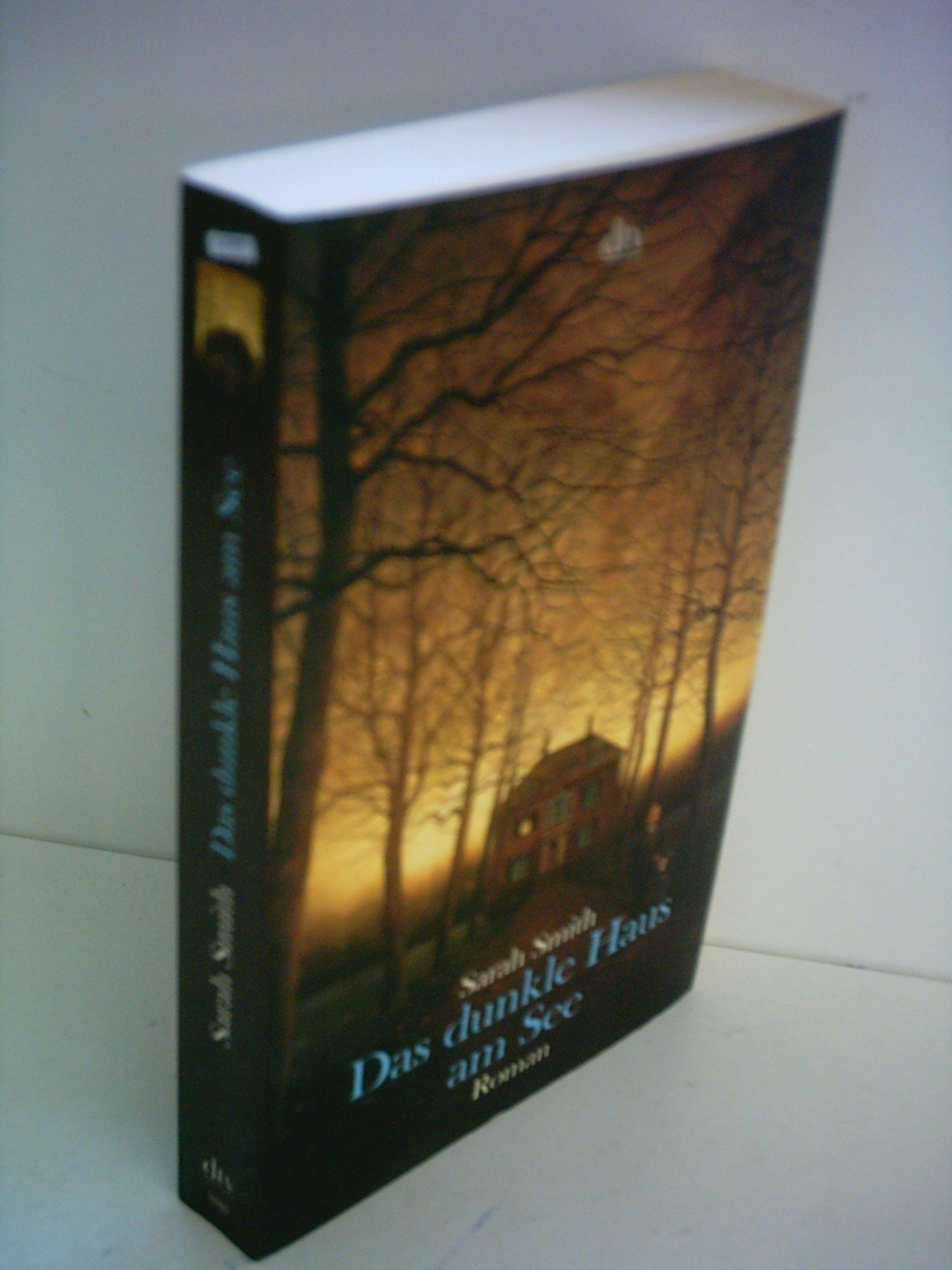 Product Image: Das dunkle Haus am See: Roman