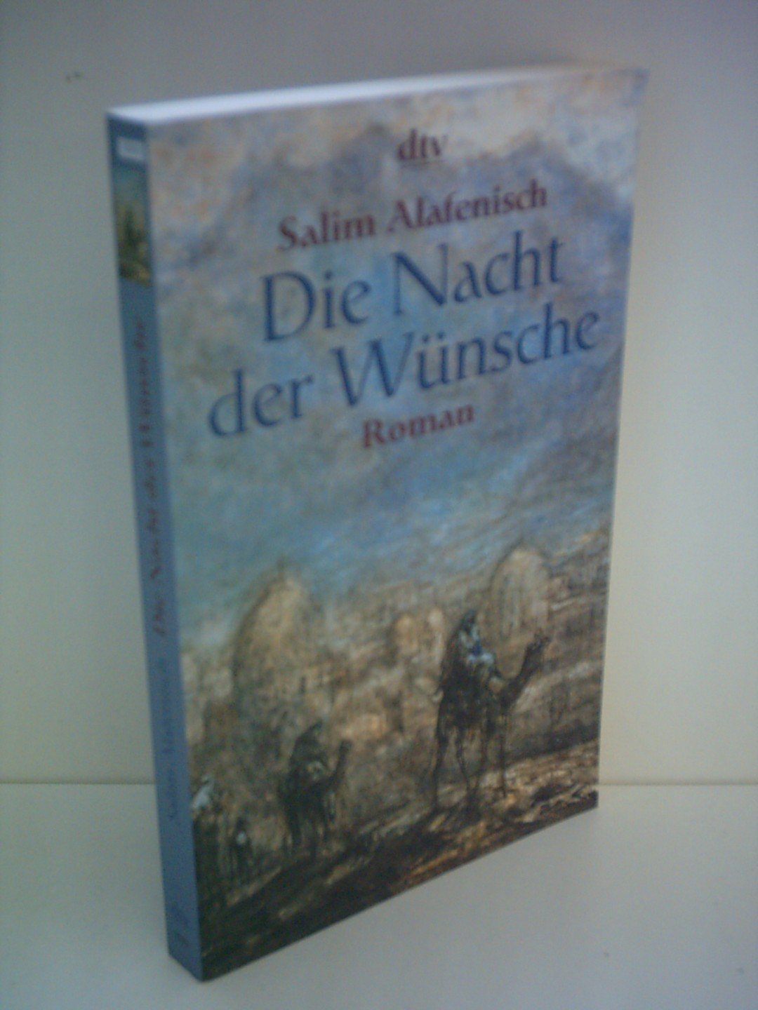Die Nacht der Wünsche (dtv Unterhaltung) Contemporary literature