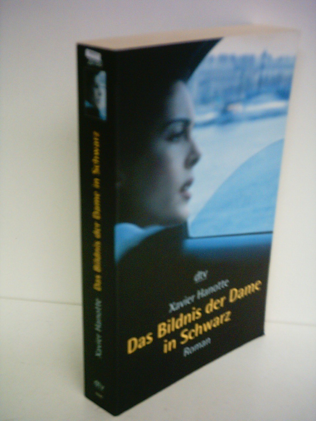 Das Bildnis der Dame in Schwarz: Roman Crime & Thrillers