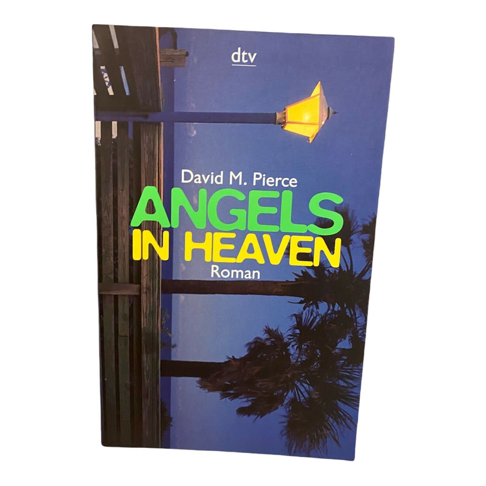 Angels in Heaven: Kriminalroman (dtv Unterhaltung) Crime & Thrillers
