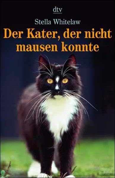 Der Kater, der nicht mausen konnte Lifestyle