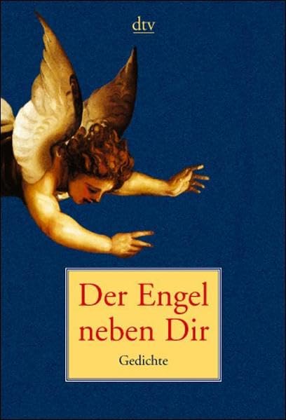 Der Engel neben Dir: Gedichte zwischen Himmel und Erde (dtv Unterhaltung) Poetry