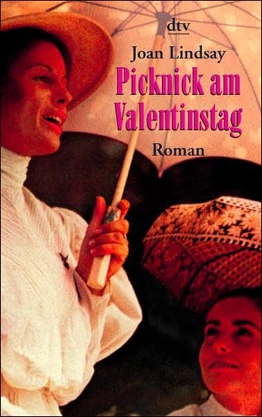 Picknick am Valentinstag: Roman Contemporary literature