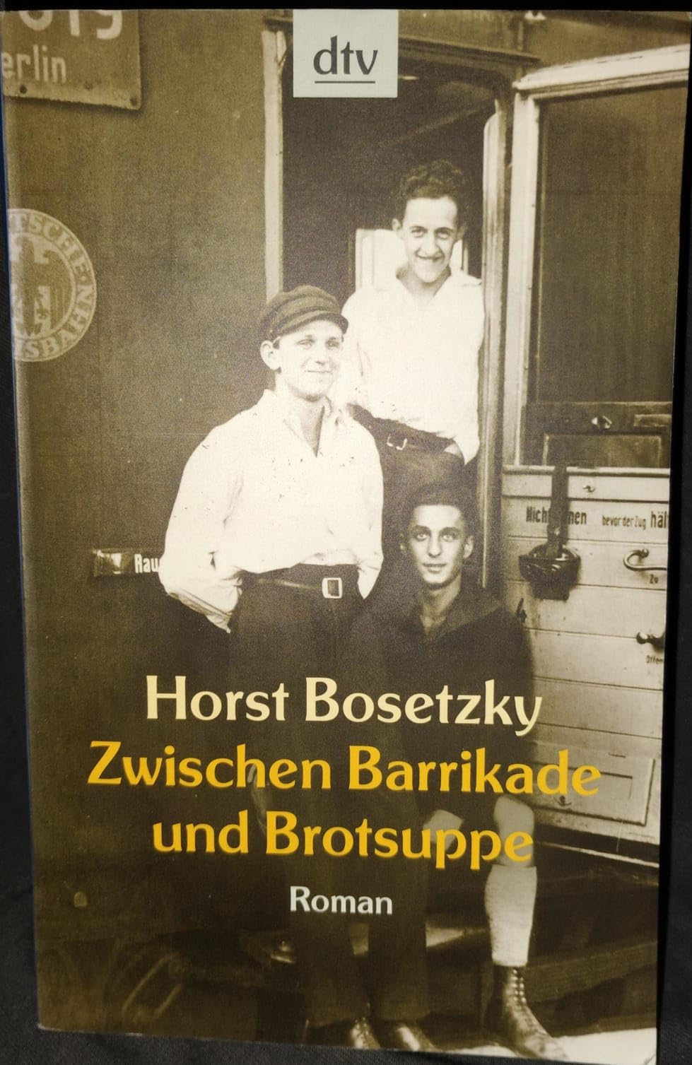 Zwischen Barrikade und Brotsuppe: Roman (dtv Unterhaltung) Contemporary literature
