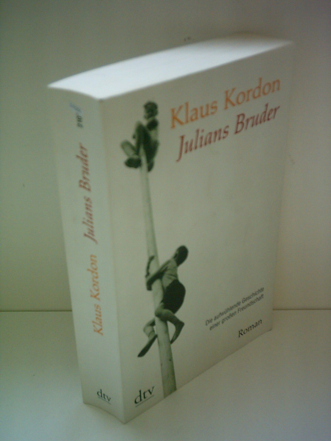 Julians Bruder: Roman (dtv Unterhaltung) Contemporary literature