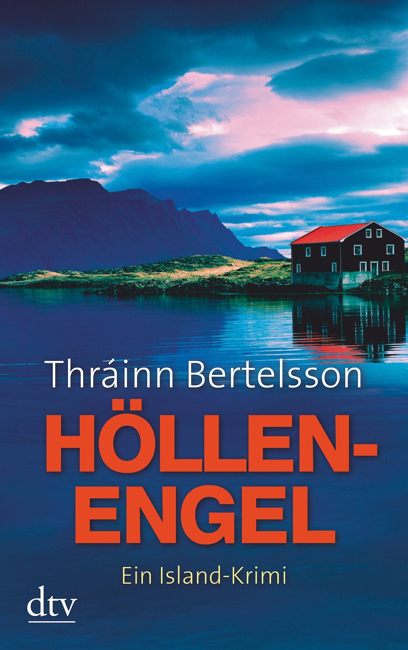 Höllenengel: Ein Island-Krimi (dtv Fortsetzungsnummer 20) Contemporary literature