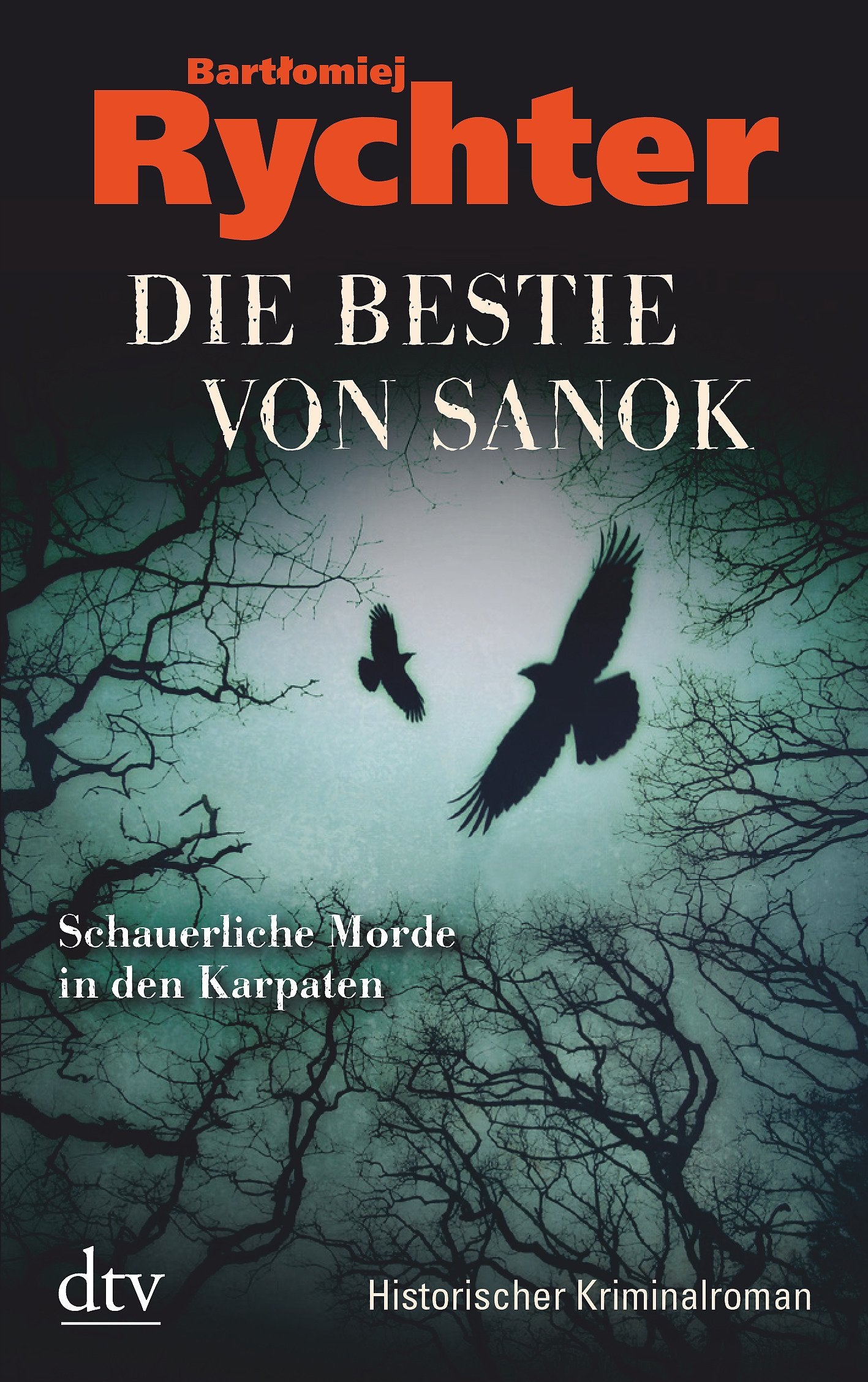 Die Bestie von Sanok: Historischer Kriminalroman (dtv Unterhaltung) Contemporary literature