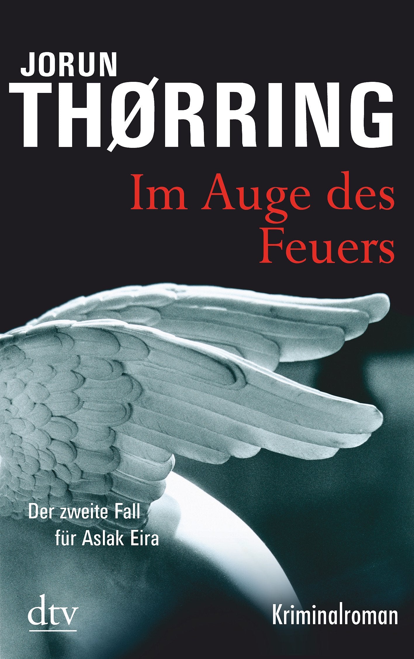 Im Auge des Feuers: Kriminalroman (dtv Fortsetzungsnummer 20) Contemporary literature