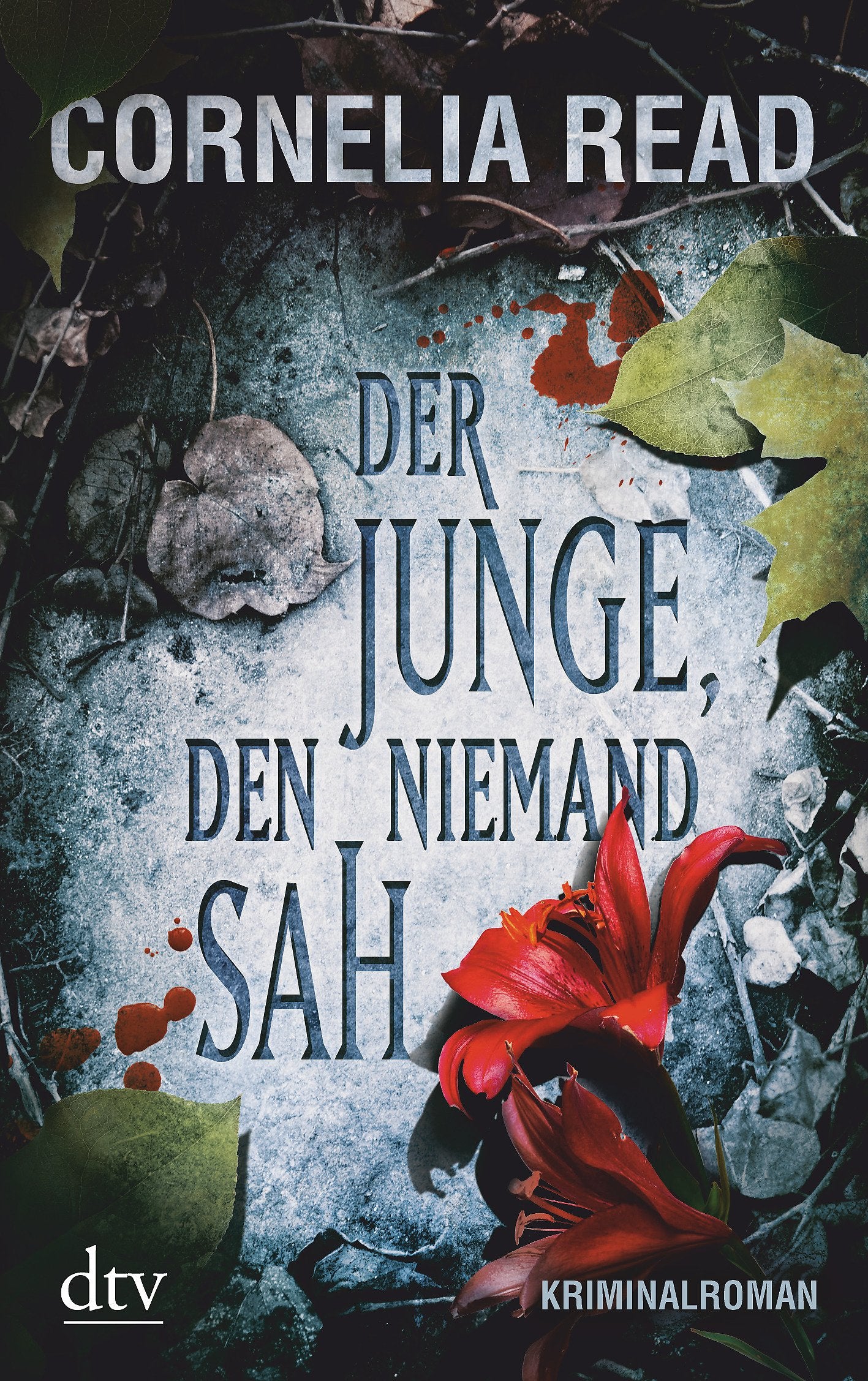 Der Junge, den niemand sah Contemporary literature Books