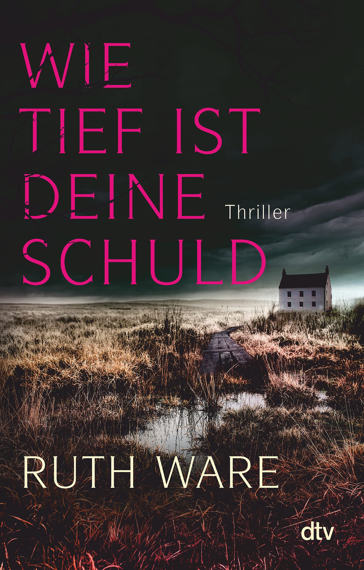 Wie tief ist deine Schuld Contemporary literature Books