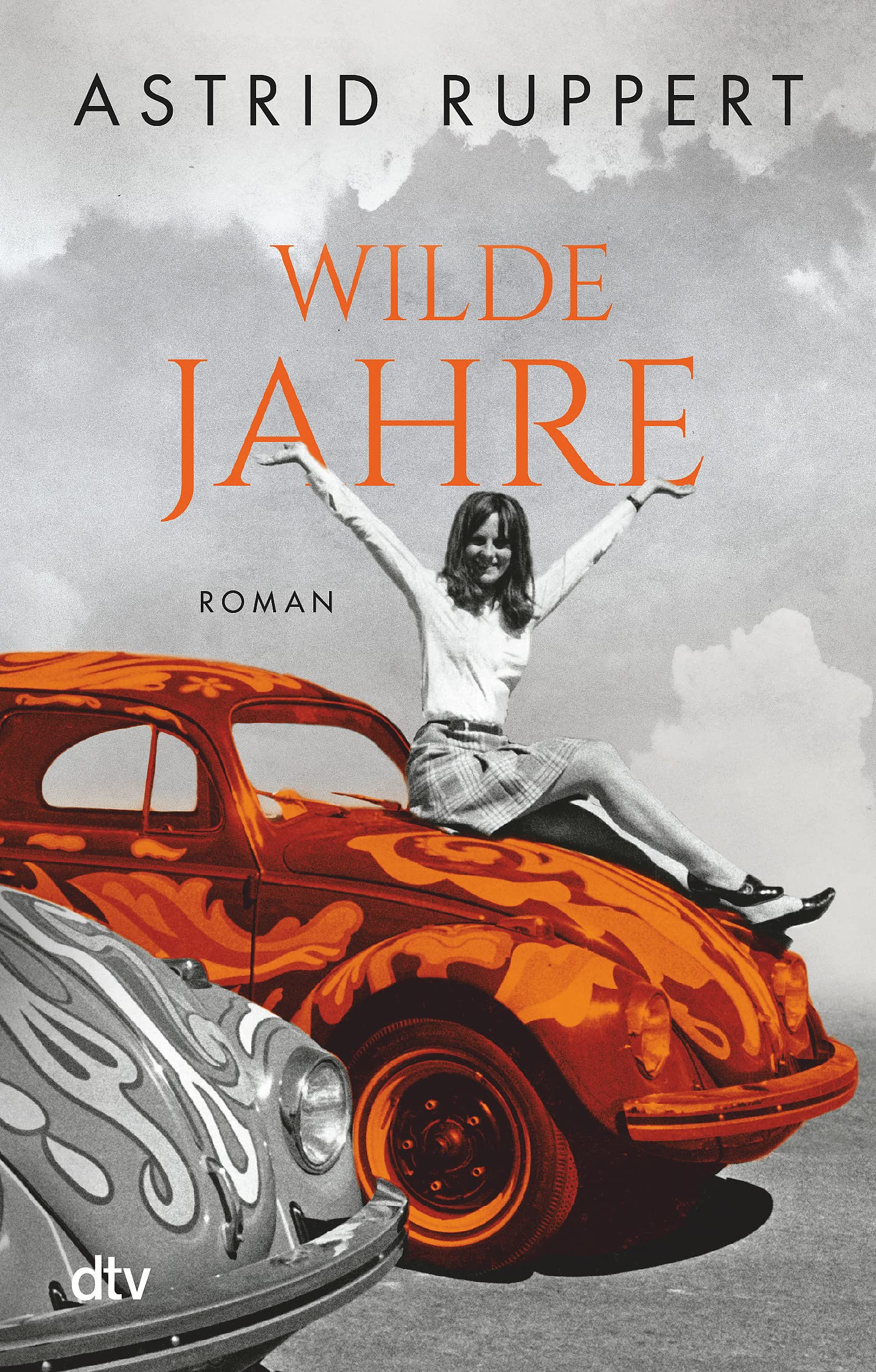 Wilde Jahre Contemporary literature Books