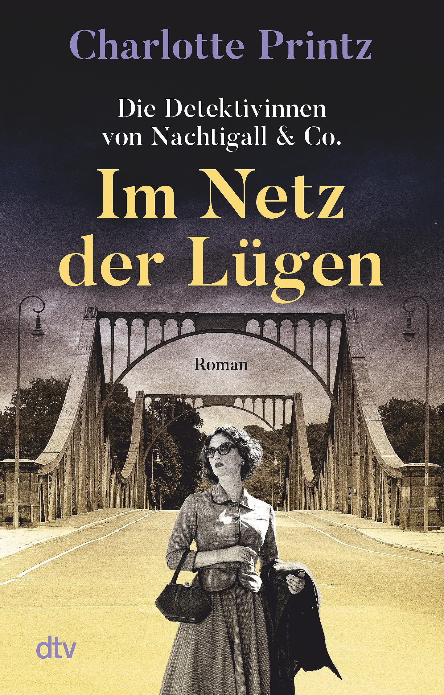 Im Netz der Lügen Contemporary literature
