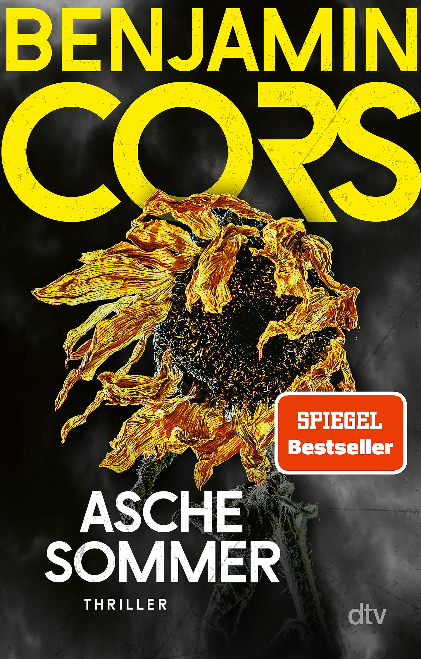 Aschesommer Contemporary literature Books