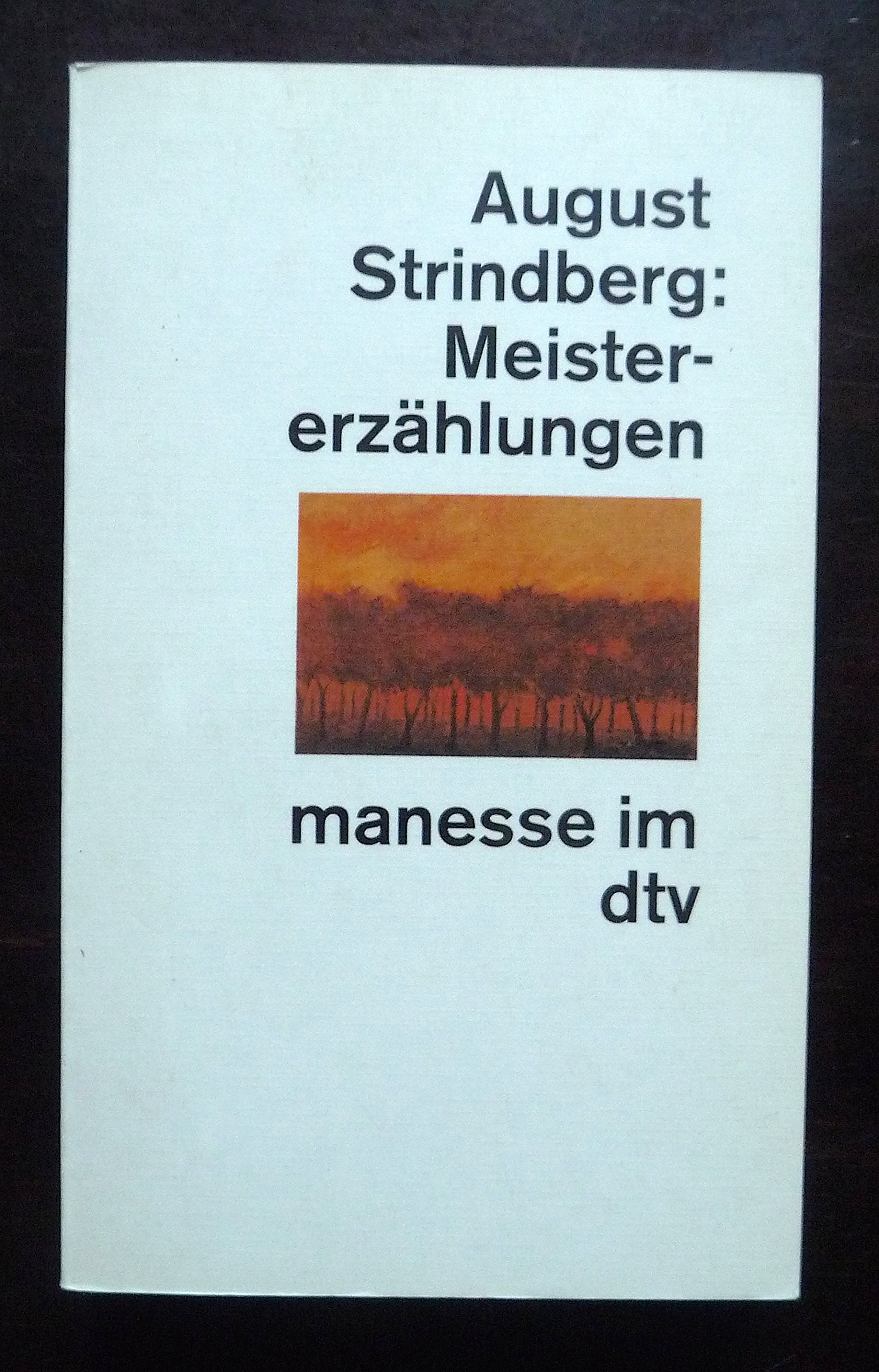 Kein Haupttitel (manesse im dtv) Books