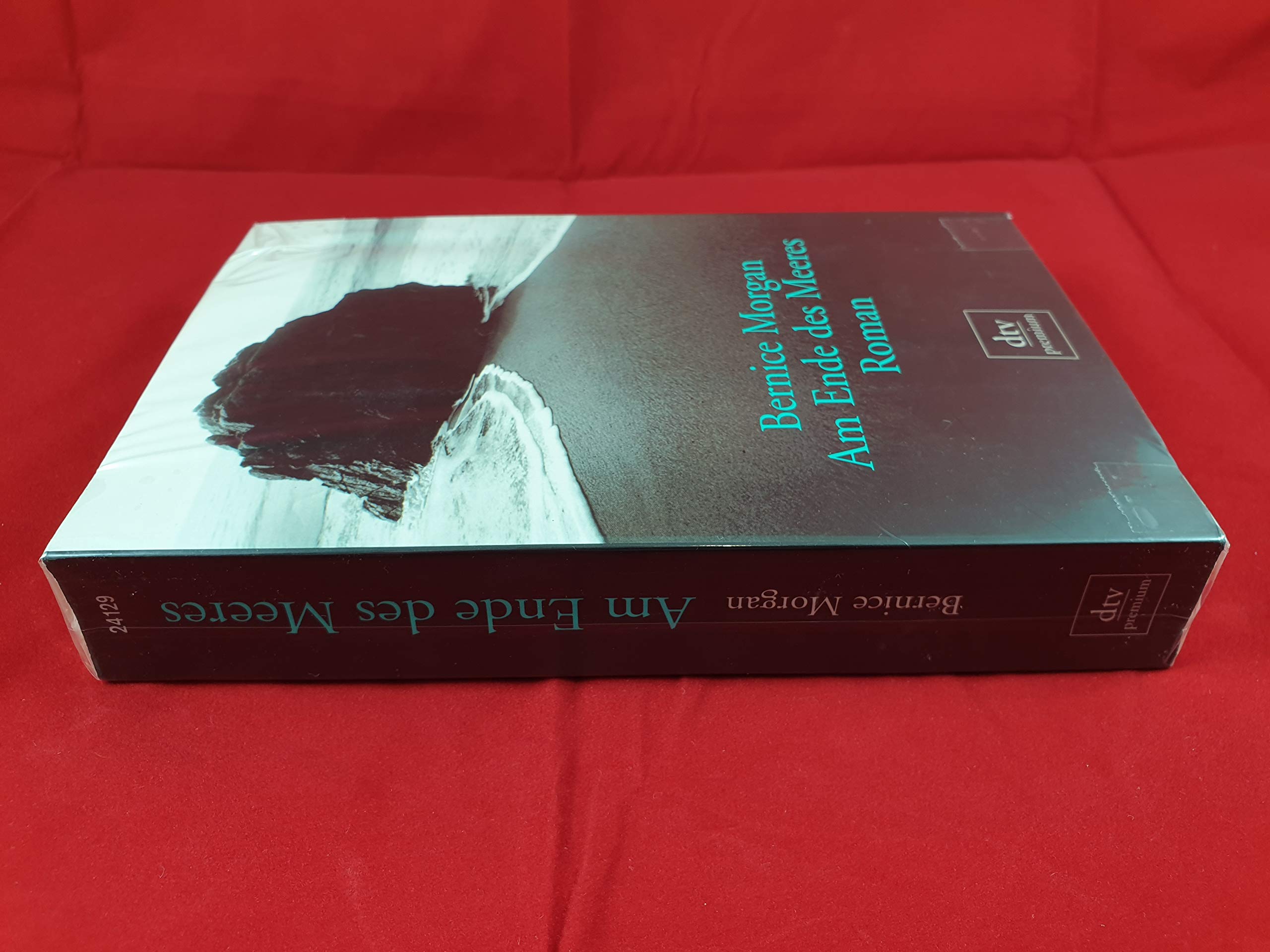 Am Ende des Meeres: Roman (dtv premium) Contemporary literature