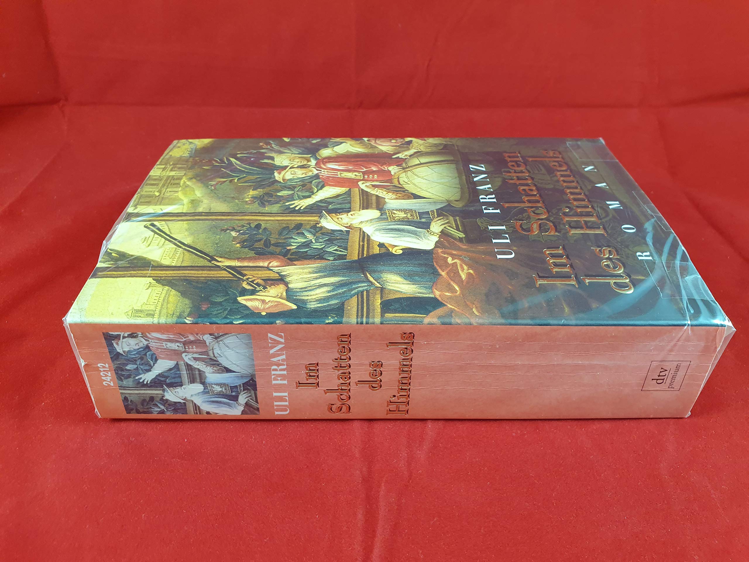 Im Schatten des Himmels: Roman Historical Fiction