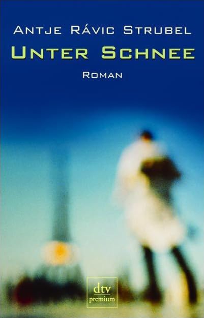 Unter Schnee: Roman (dtv Fortsetzungsnummer 0) Contemporary literature