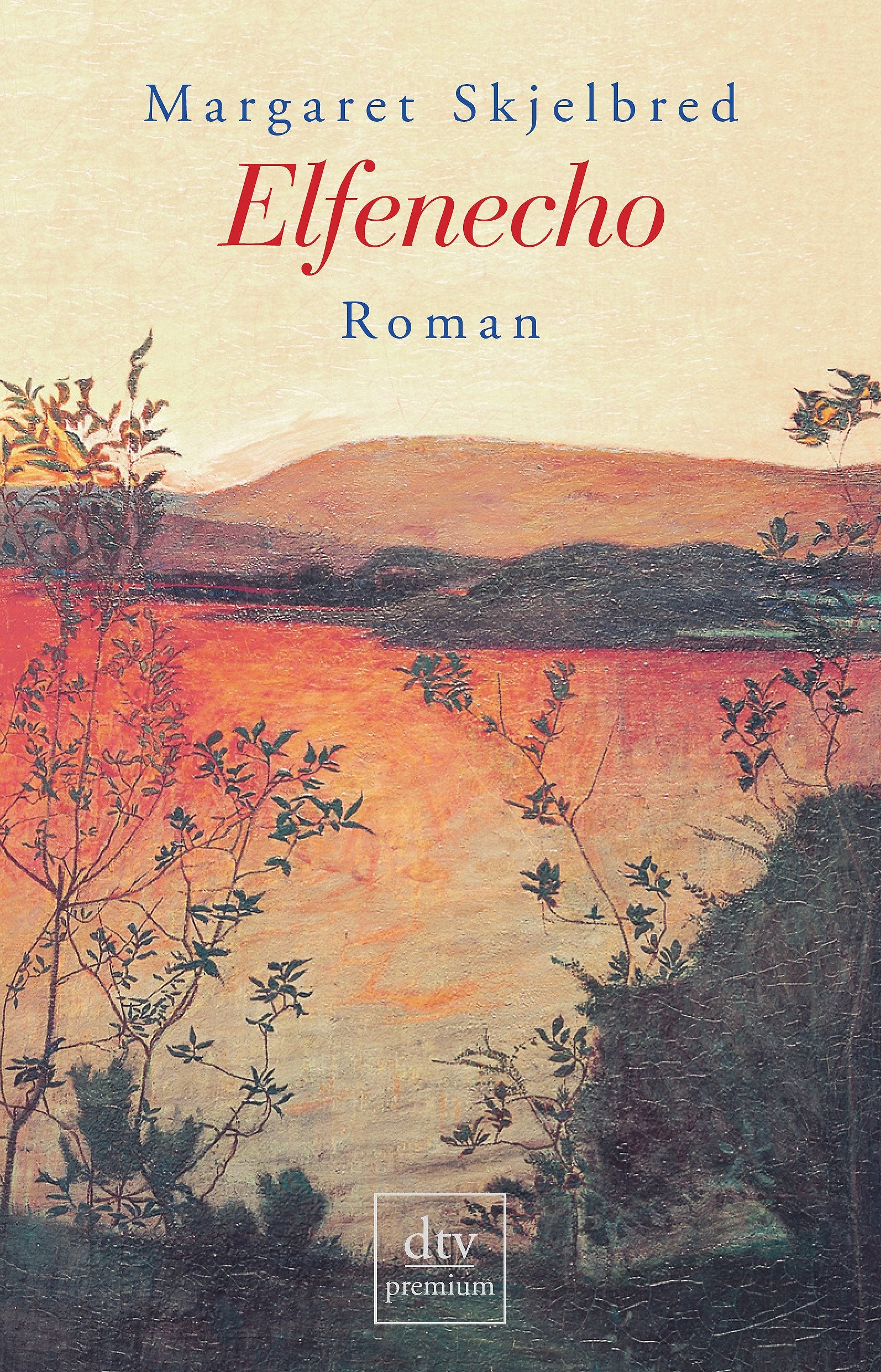 Elfenecho: Roman (dtv Fortsetzungsnummer 0) Contemporary literature