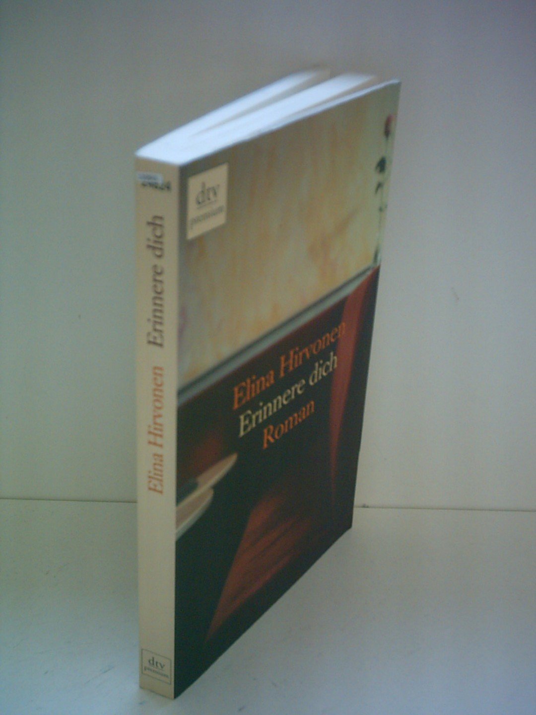 Erinnere dich: Roman (dtv Fortsetzungsnummer 0) Contemporary literature