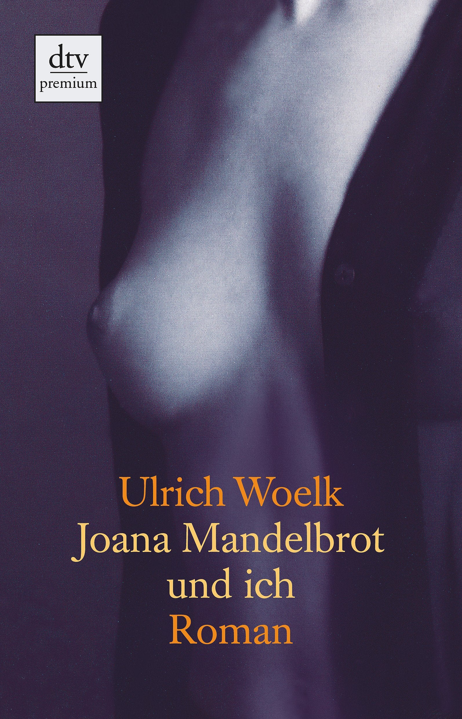 Joana Mandelbrot und ich Contemporary literature