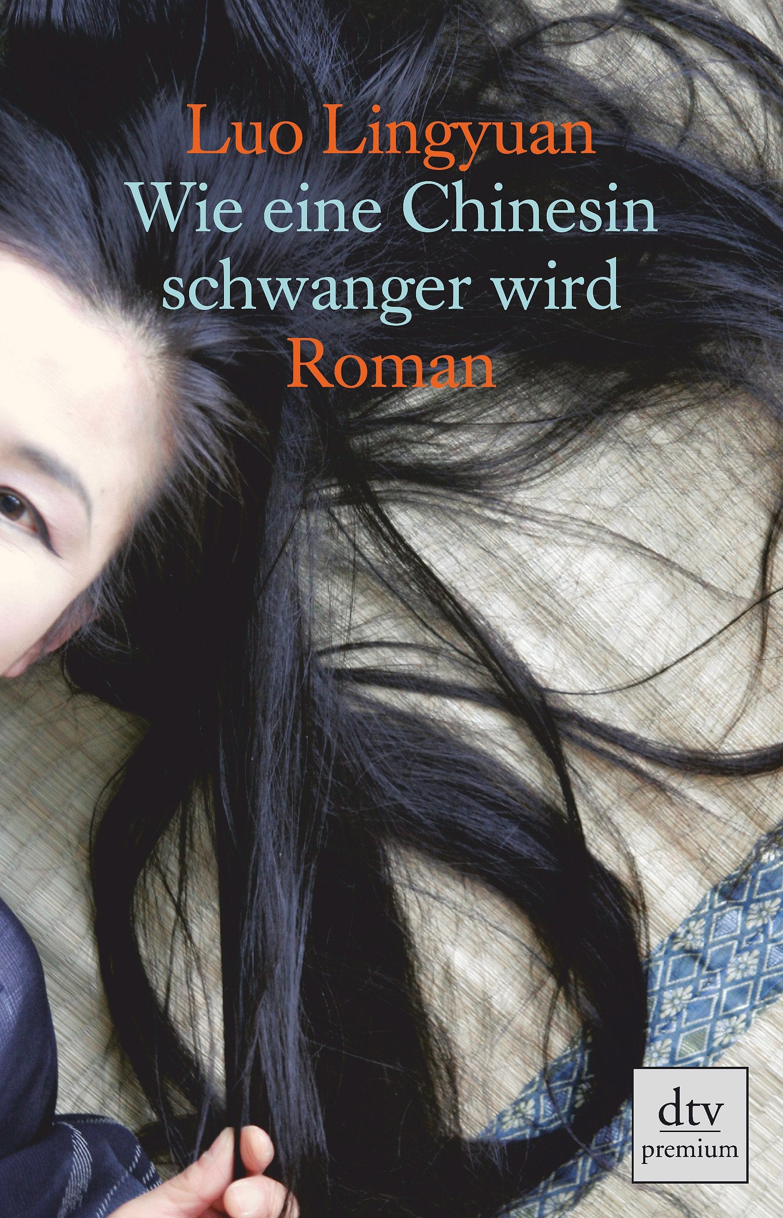 Wie eine Chinesin schwanger wird: Roman (dtv Fortsetzungsnummer 0) Contemporary literature
