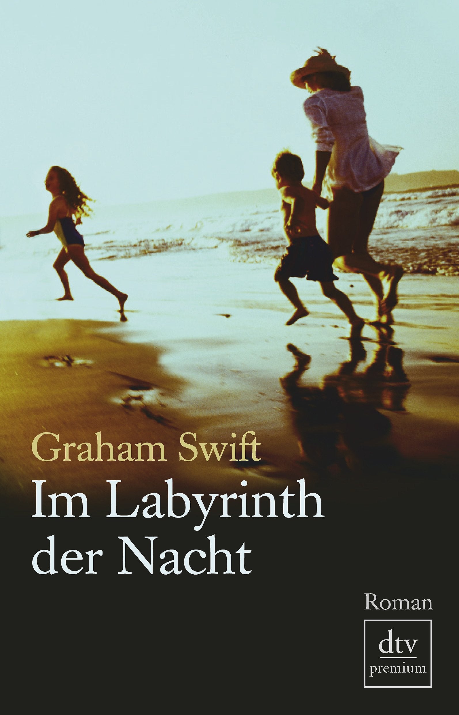 Im Labyrinth der Nacht: Roman (dtv premium) Contemporary literature