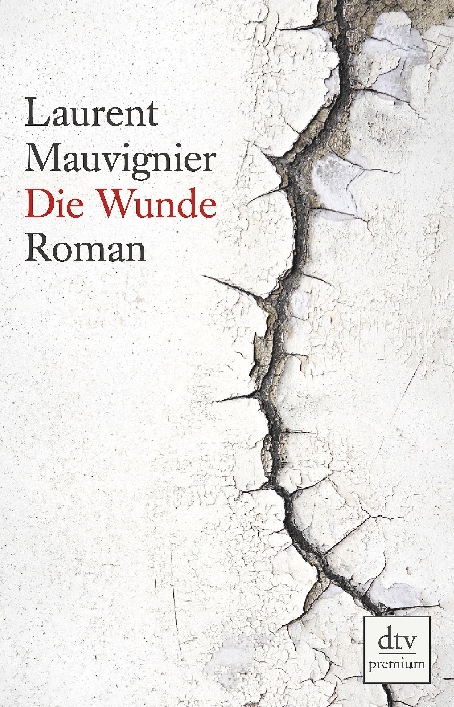 Die Wunde Contemporary literature Books