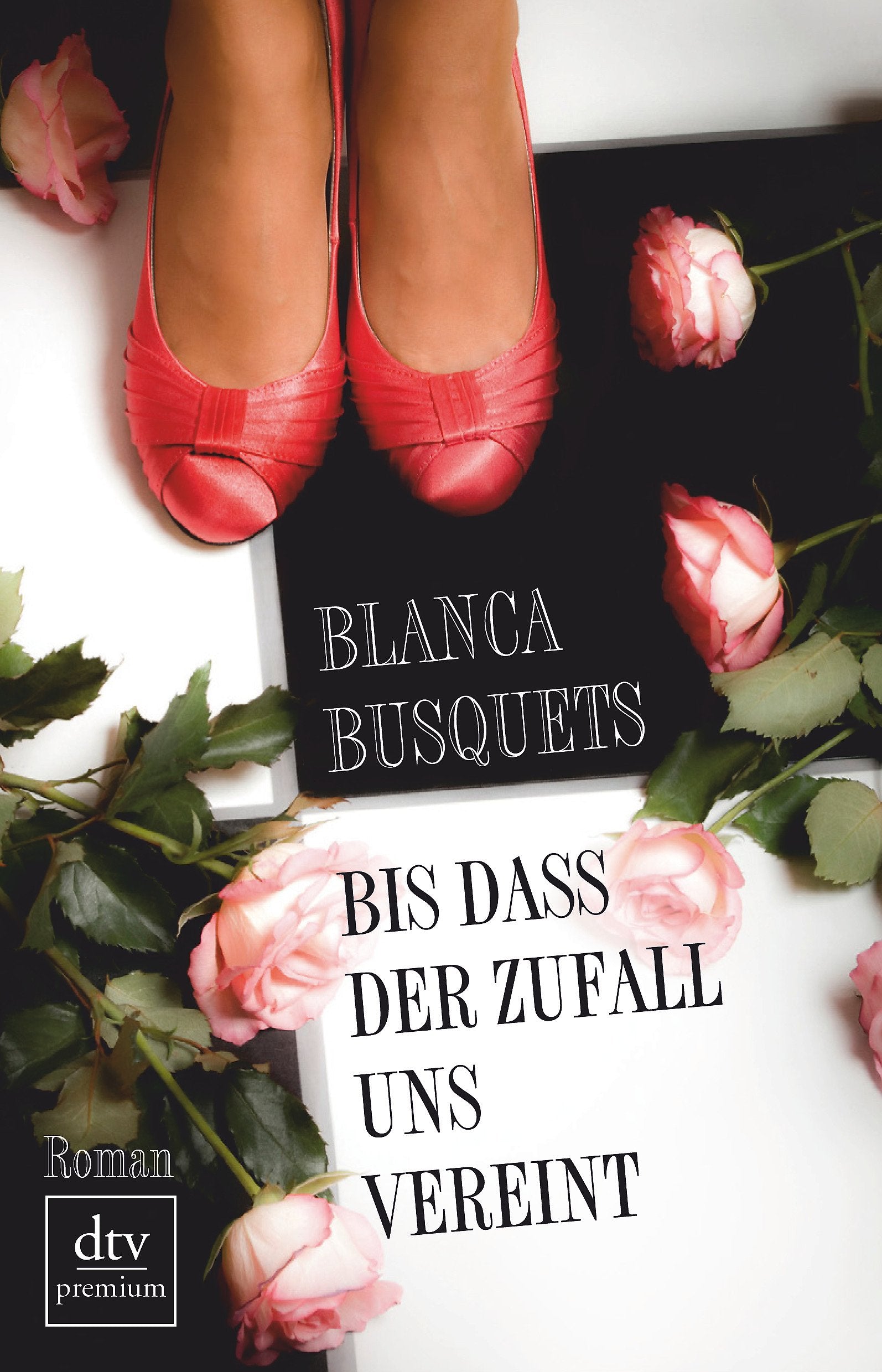 Bis dass der Zufall uns vereint Contemporary literature