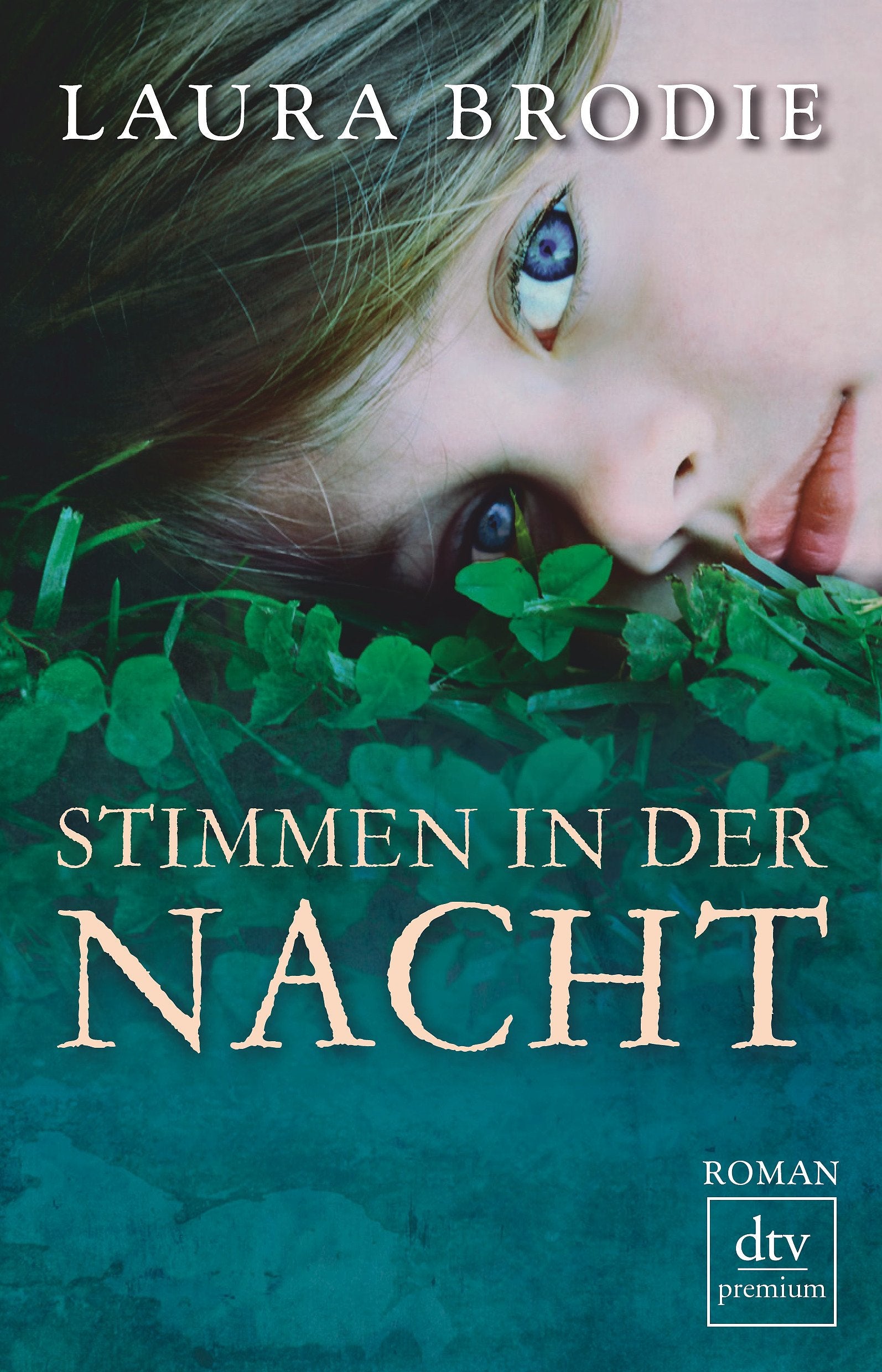 Stimmen in der Nacht: Roman Contemporary literature