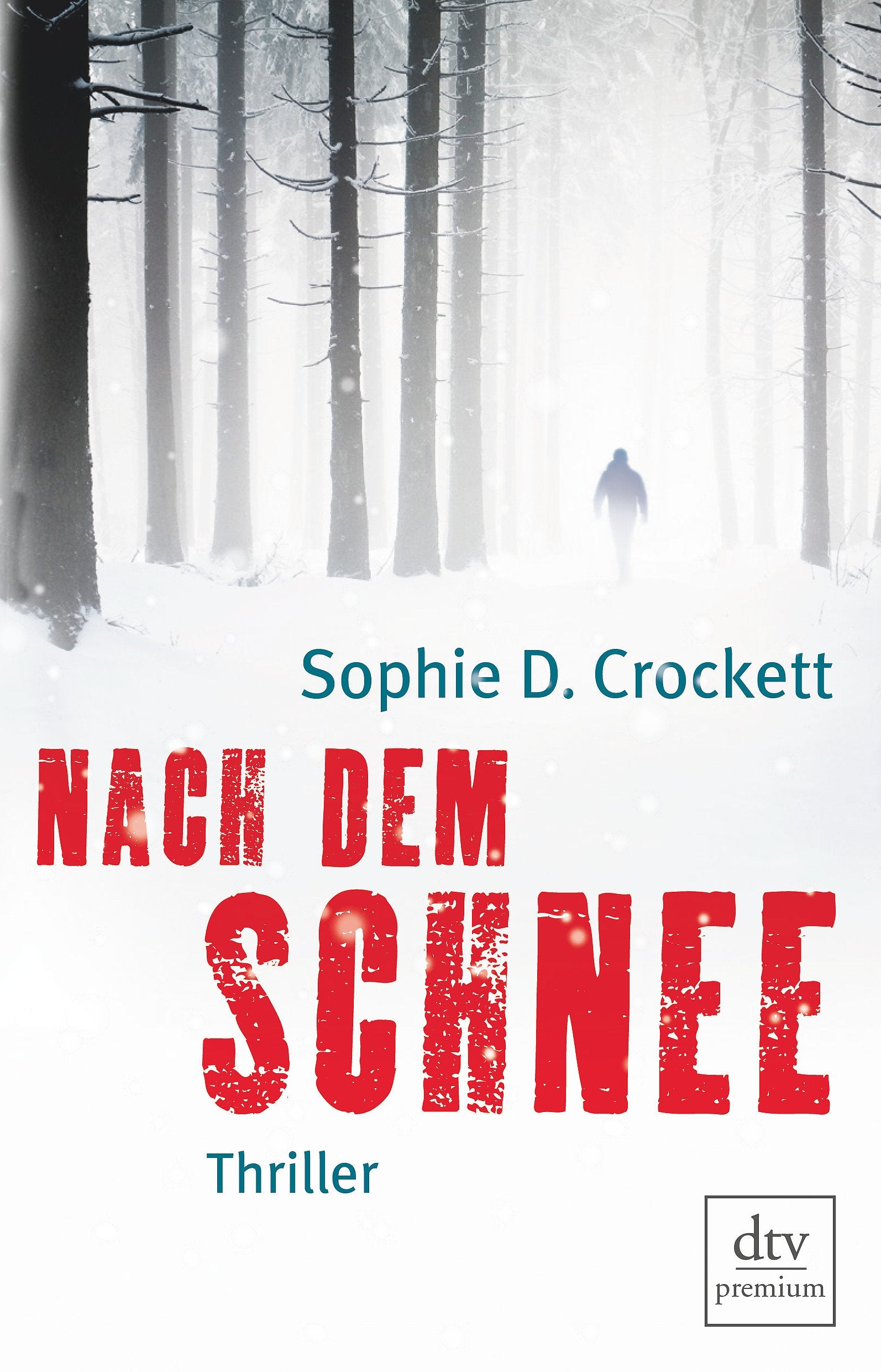 Nach dem Schnee: Roman (dtv premium) Fantasy & Sci-Fi