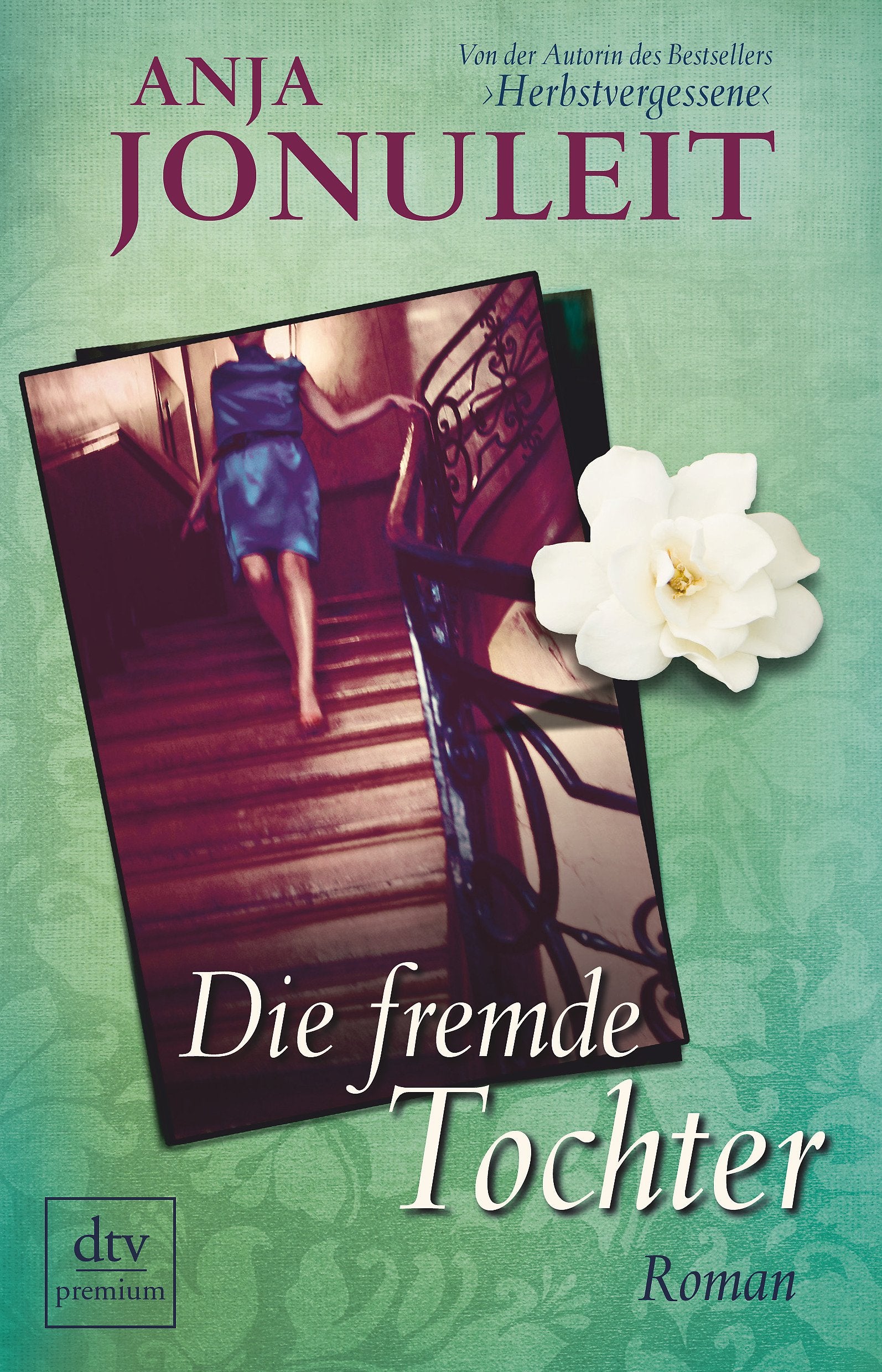 Die fremde Tochter: Roman (dtv premium) Contemporary literature