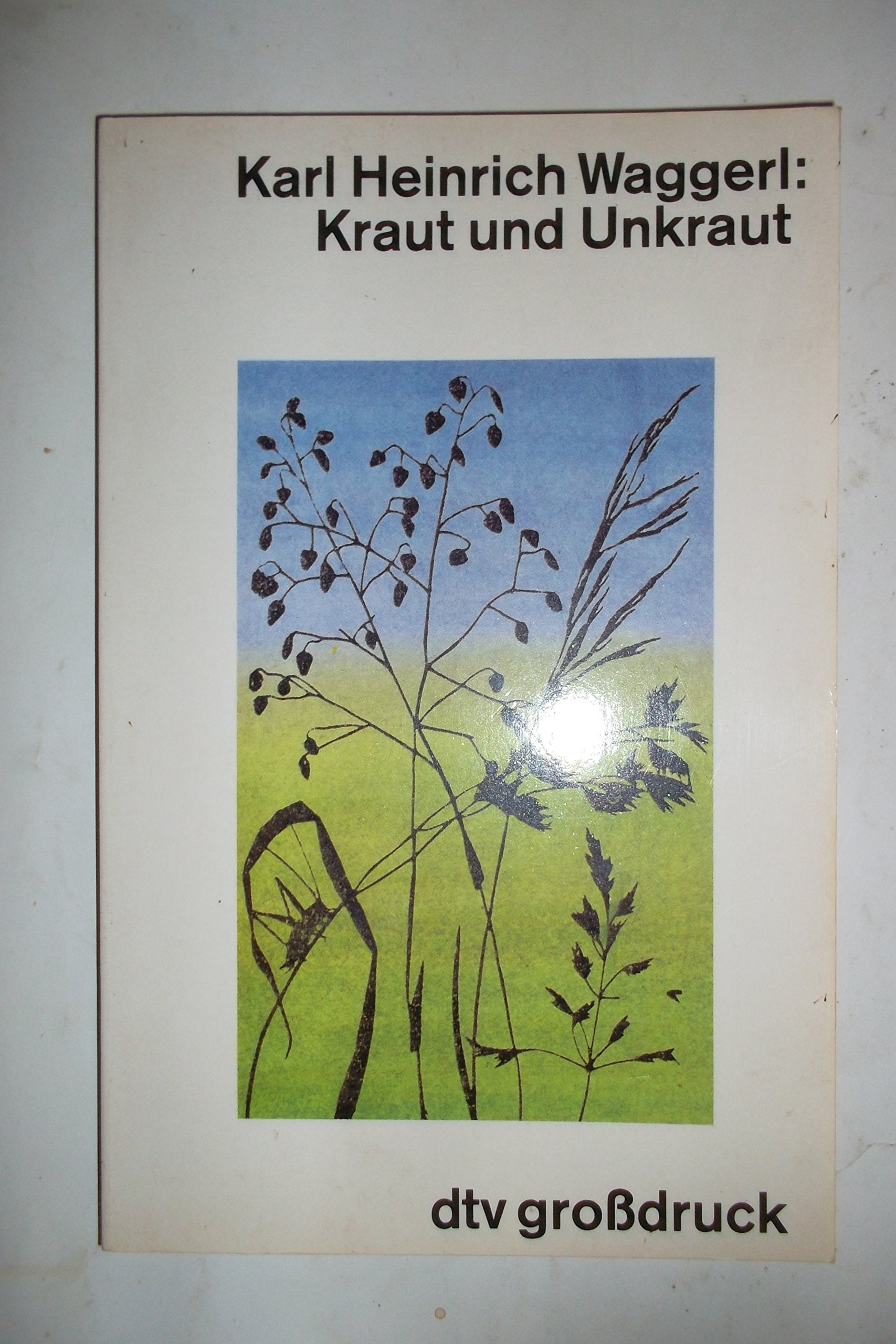 Kraut und Unkraut (dtv großdruck) Fiction