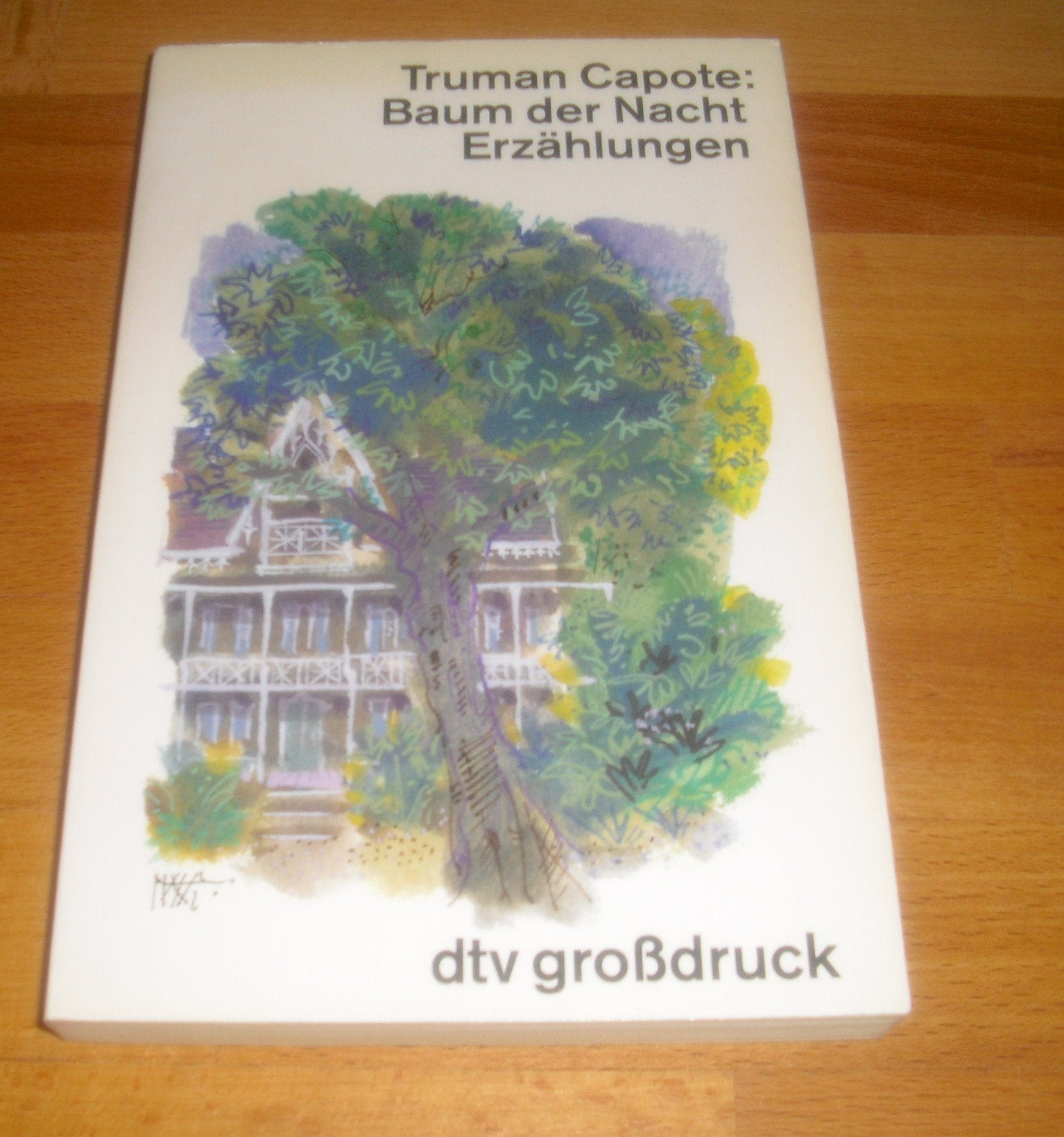Baum der Nacht: Erzählungen (dtv großdruck) Fiction
