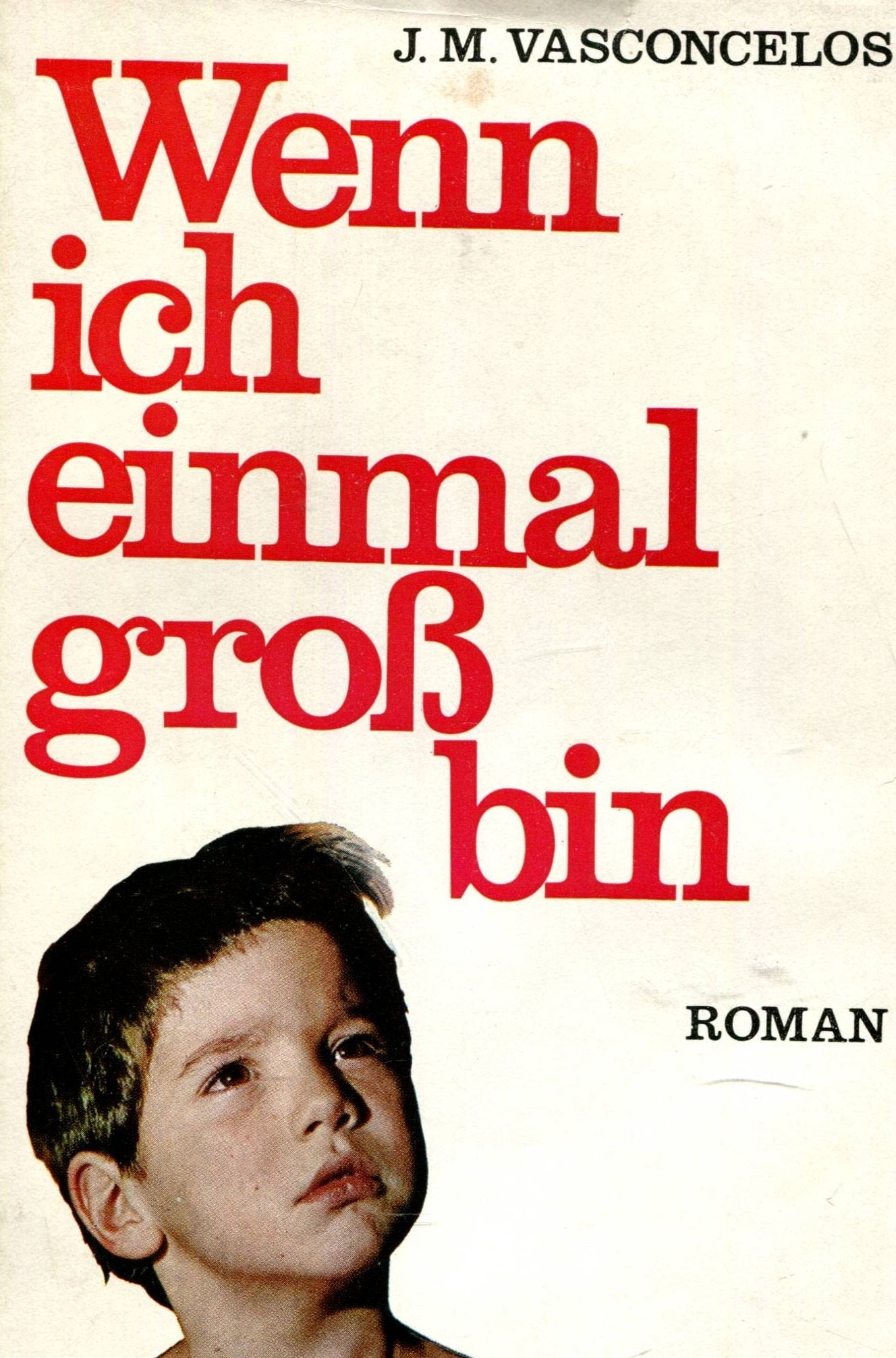 Wenn ich einmal groß bin: Roman (dtv großdruck) Contemporary literature