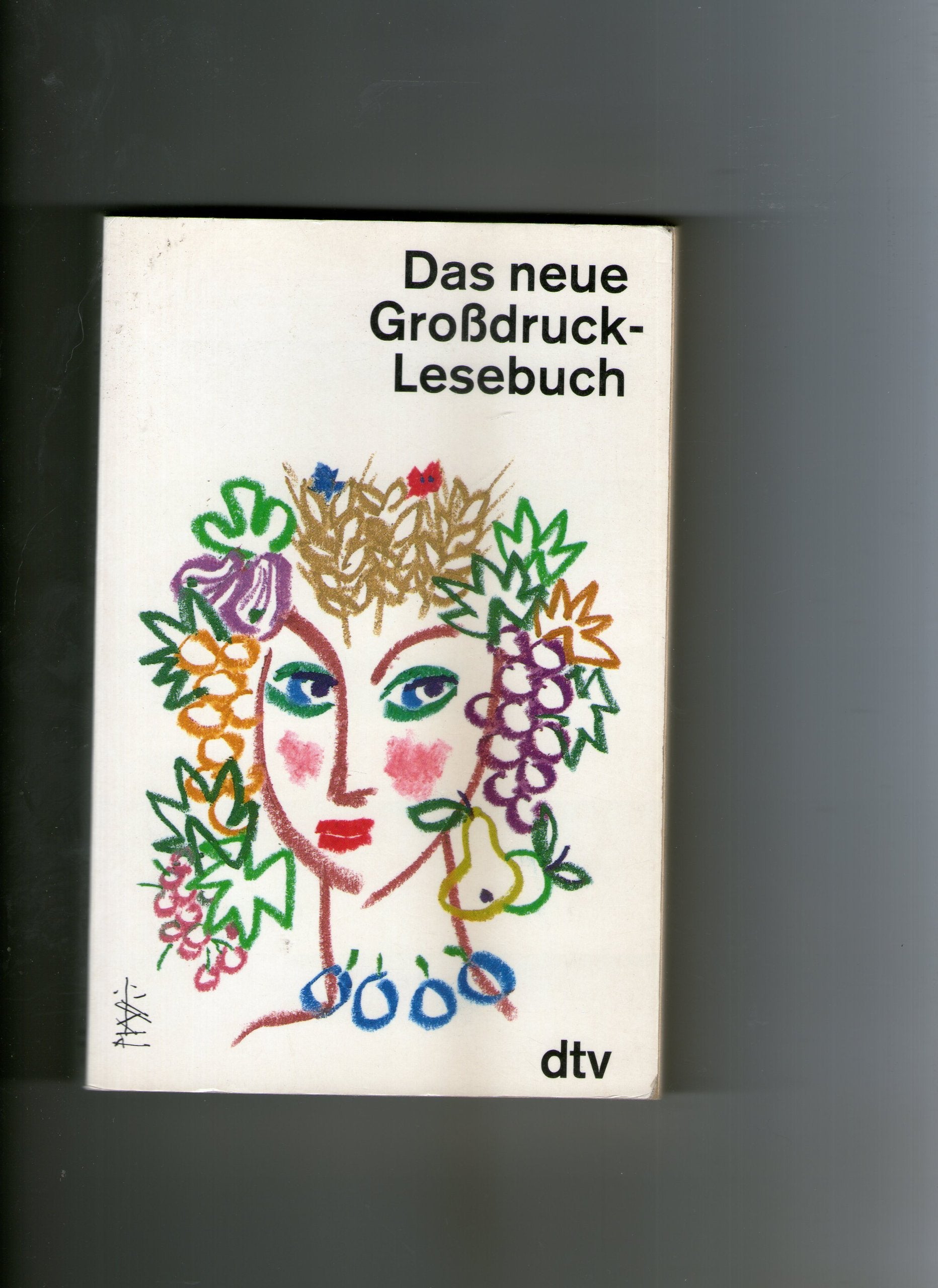 Das neue Großdruck-Lesebuch (dtv großdruck) Fiction