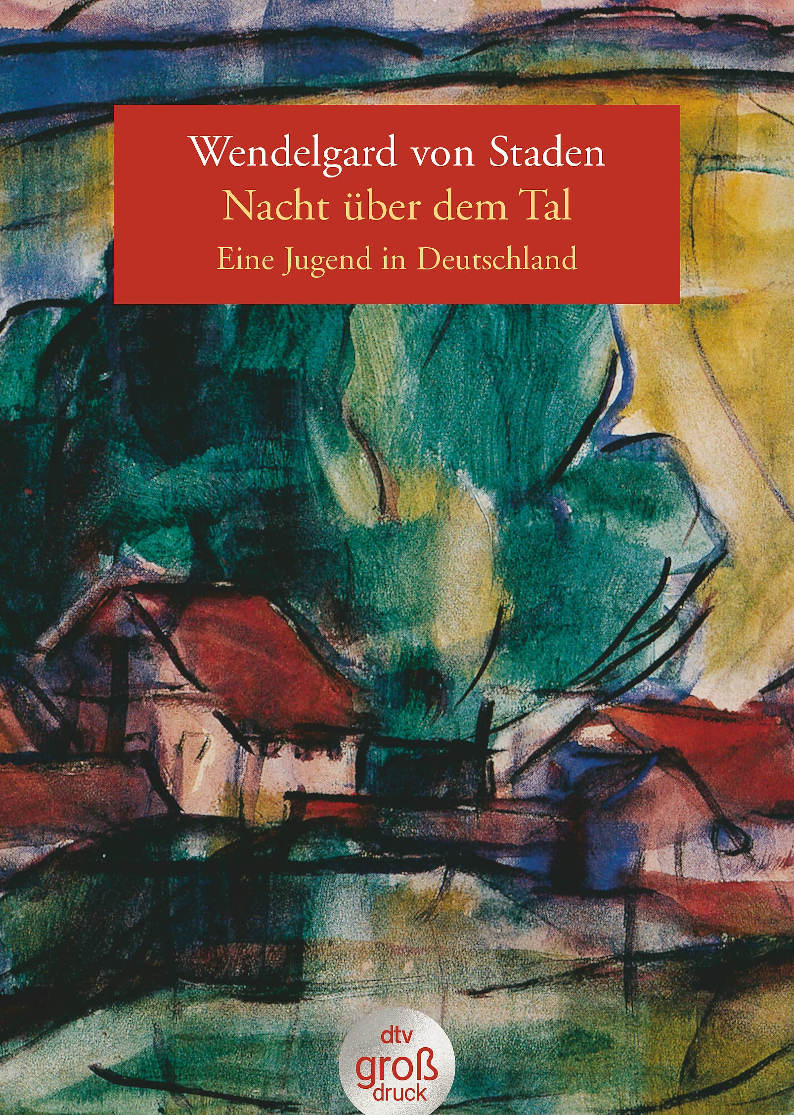 Nacht über dem Tal. Großdruck Fiction