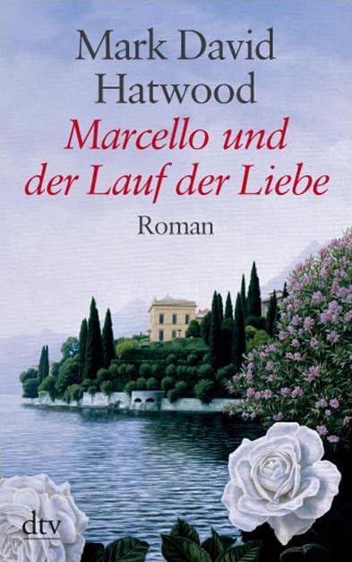 Marcello und der Lauf der Liebe: Roman (dtv großdruck) Contemporary literature